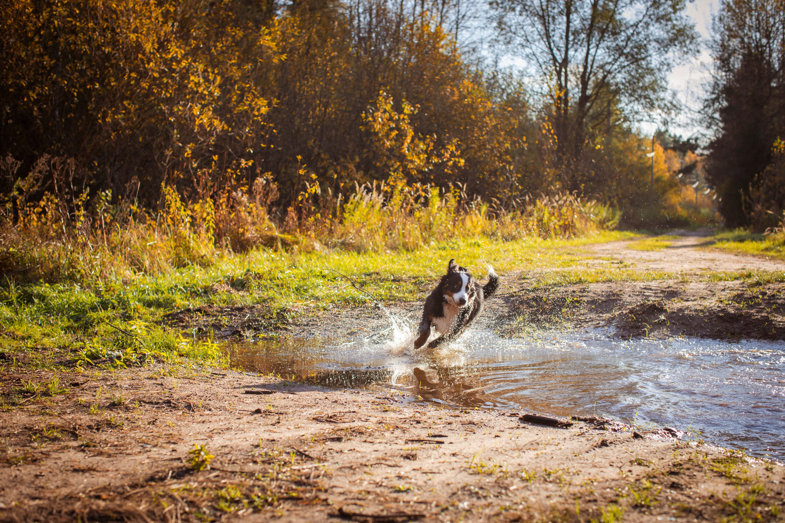 Прекрасная Вита. Фотограф Наталья Штукина