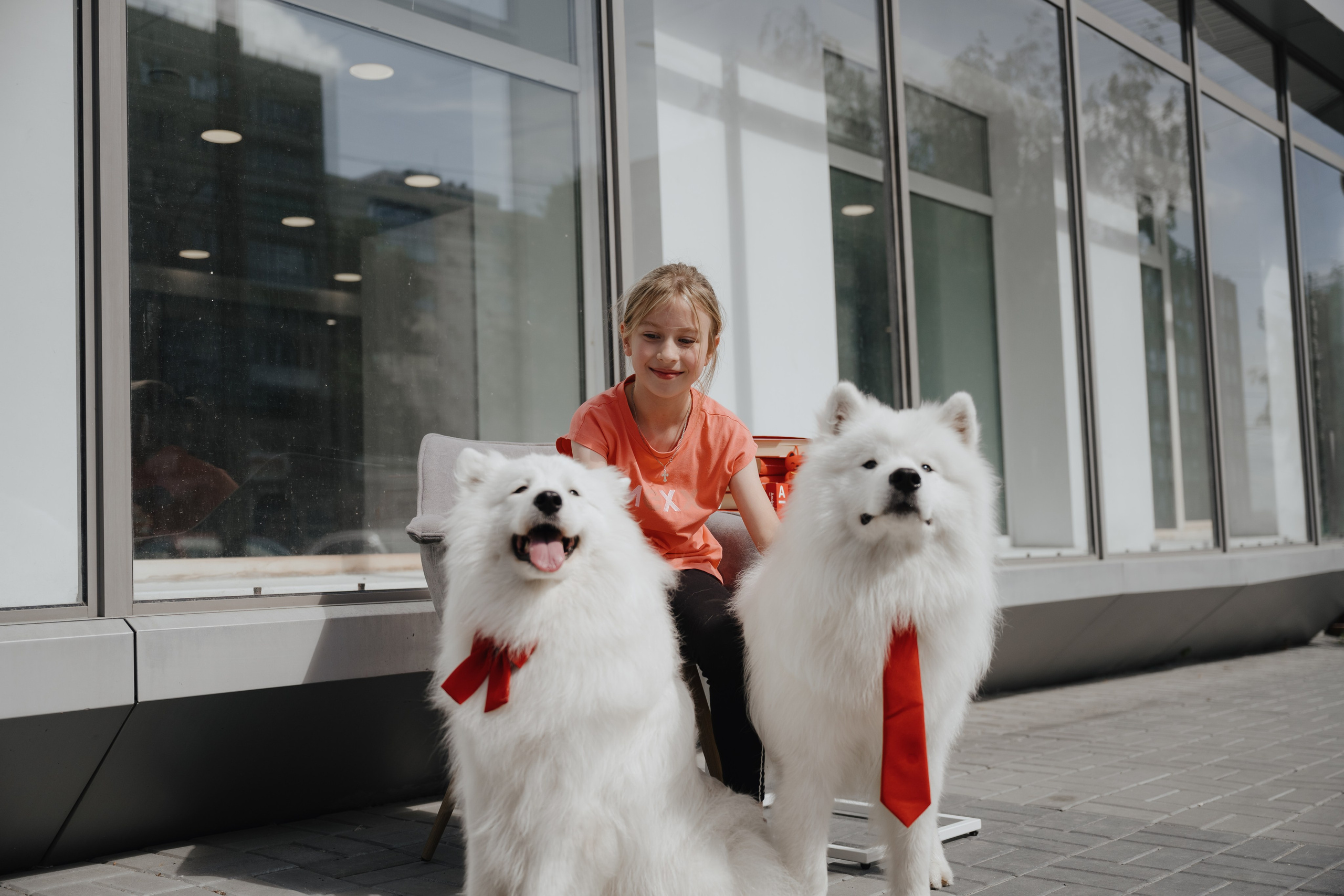 Альфа банк Карла Маркса 55. Фотограф Кристина Тумаева. Самоед Новосибирск