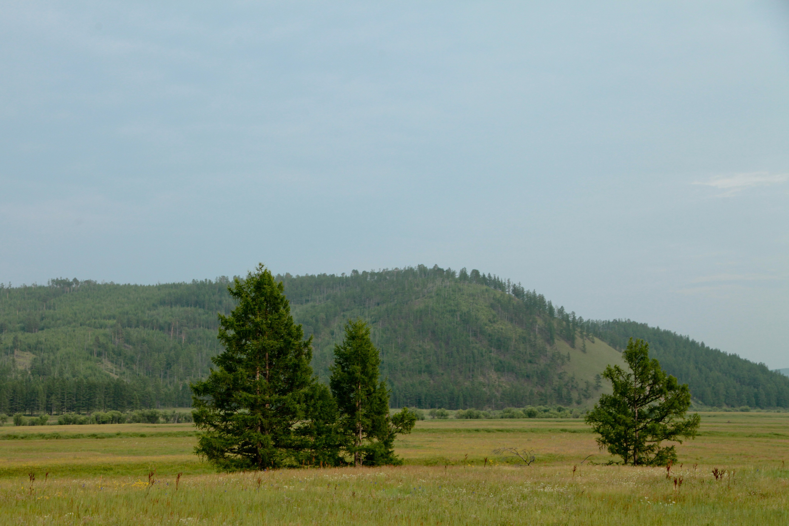 Фото Природы Забайкалья. Студия Максима Белослюдцева