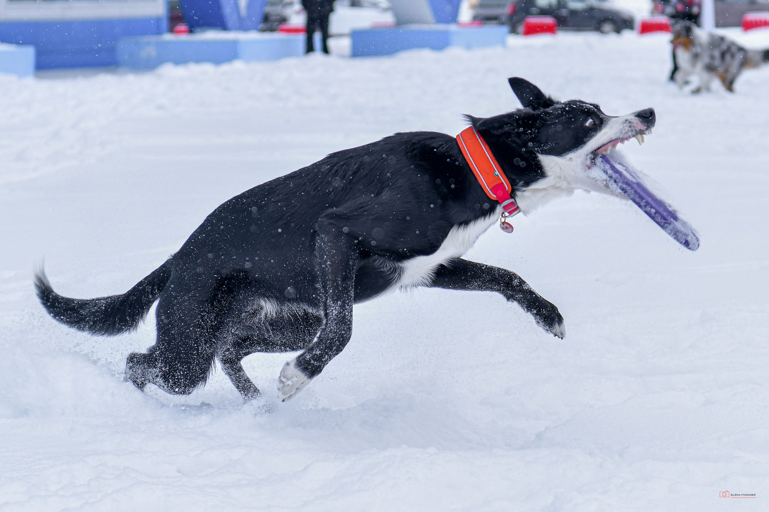 Зима. Свой взгляд через объектив