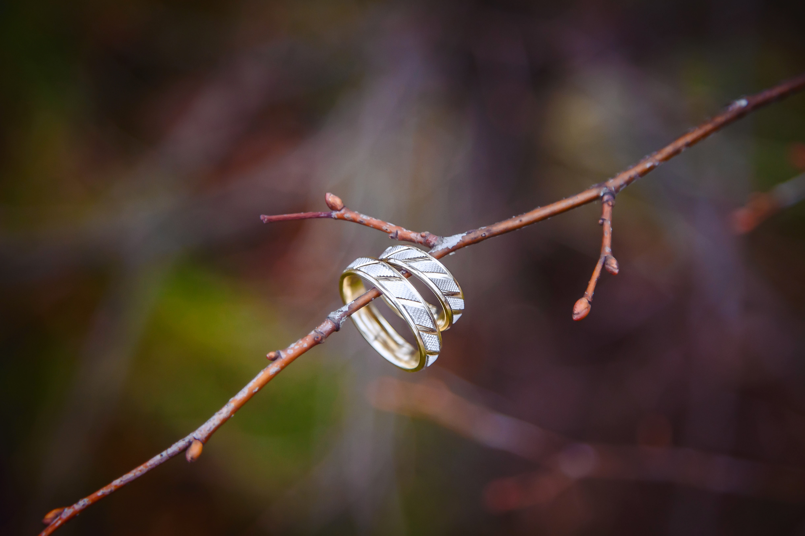 Свадебная фотосъемка, фотограф на свадьбу