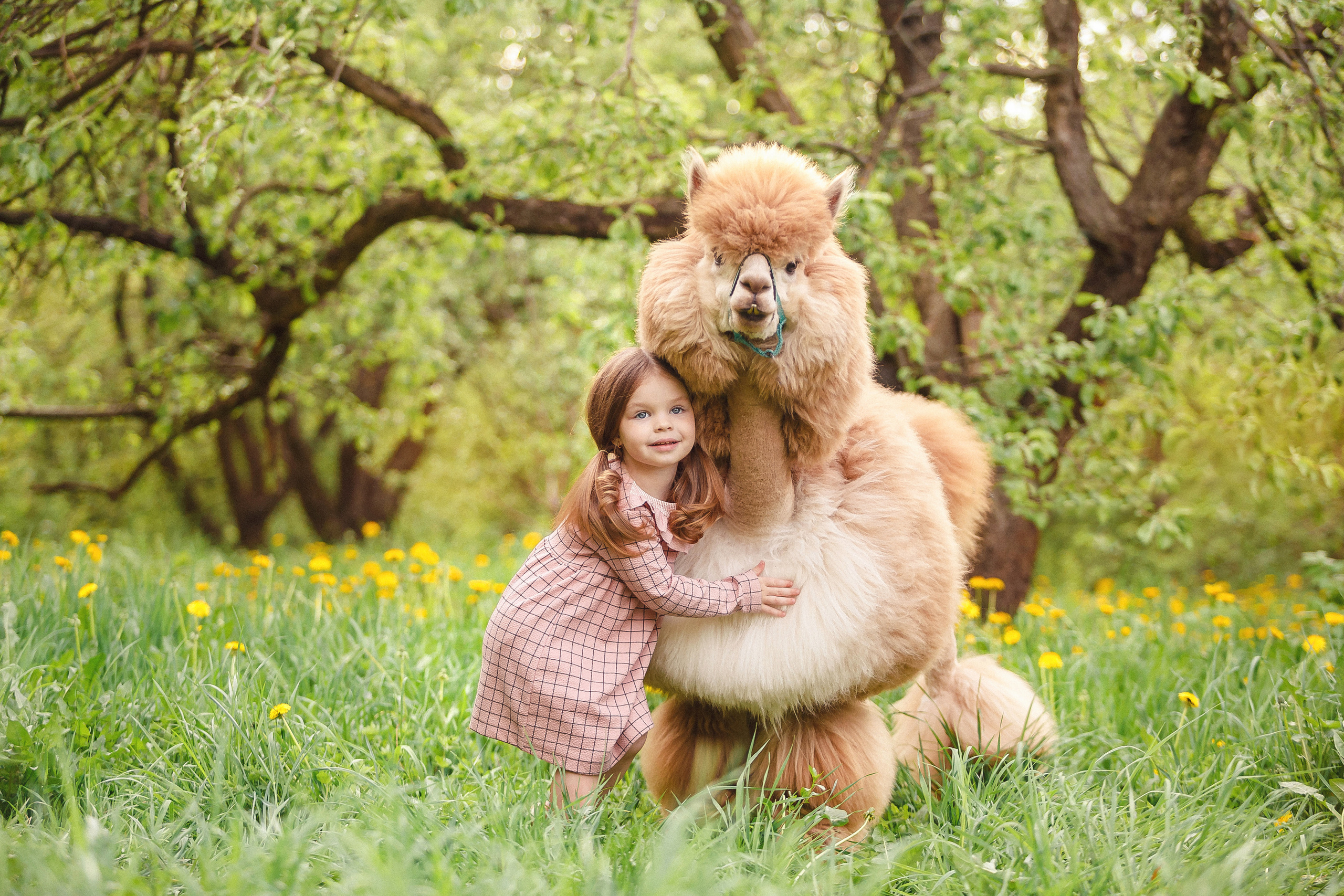 Фотопрогулка с профессиональным фотографом