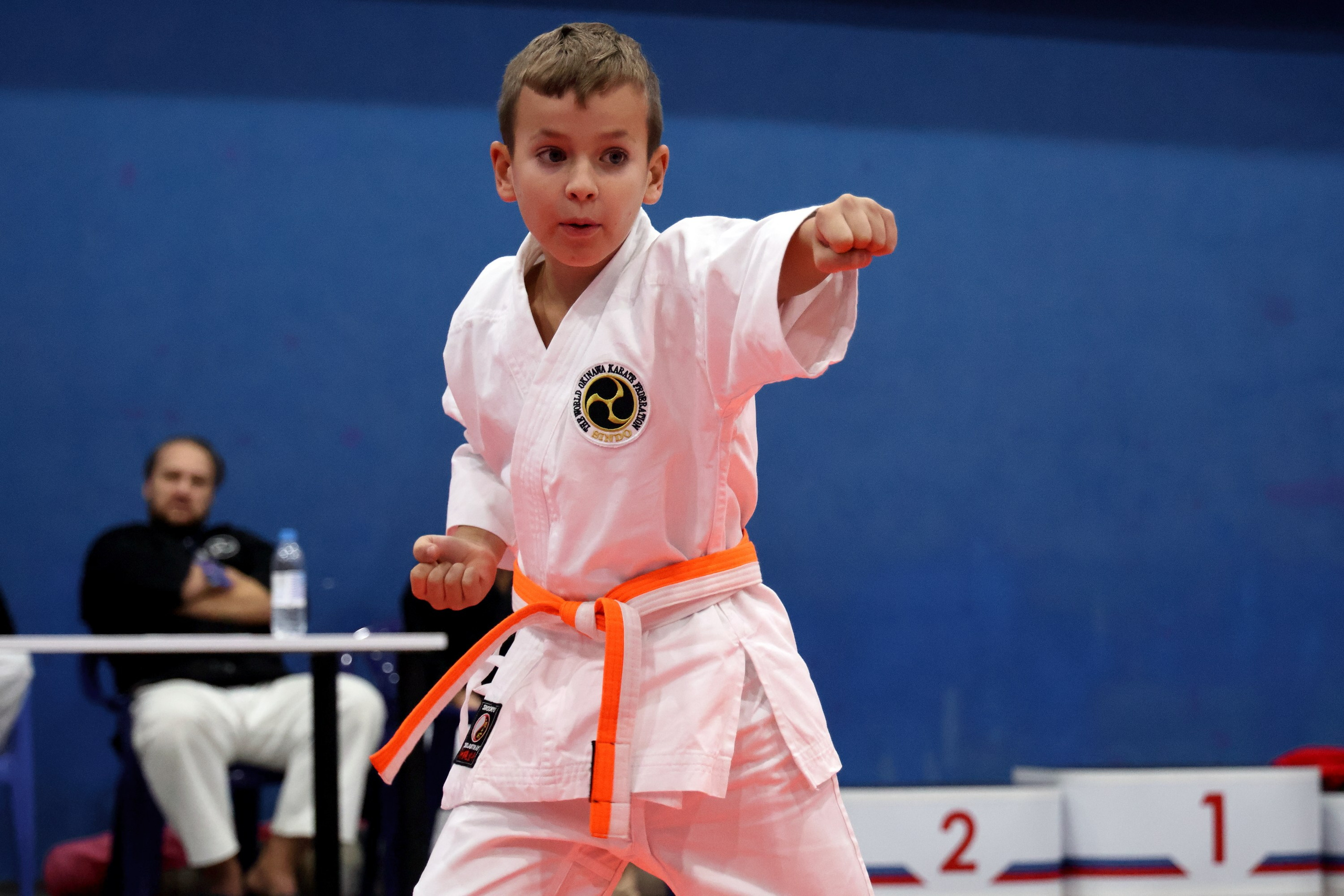 Чемпионат по Окинава Каратэ (Тэгуми). Спортивный и репортажный фотограф Ермакова Светлана