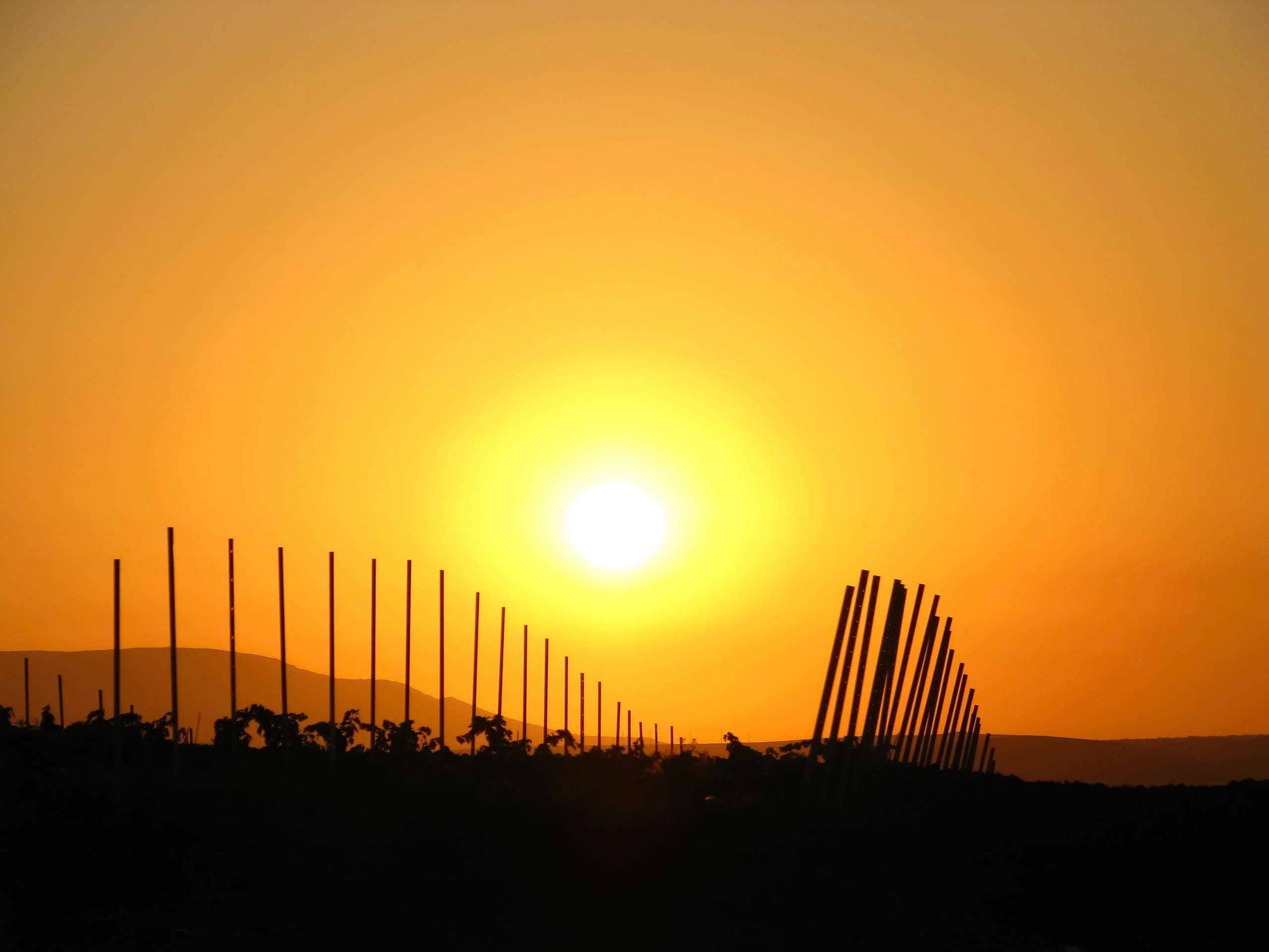 Природа. Polyframe