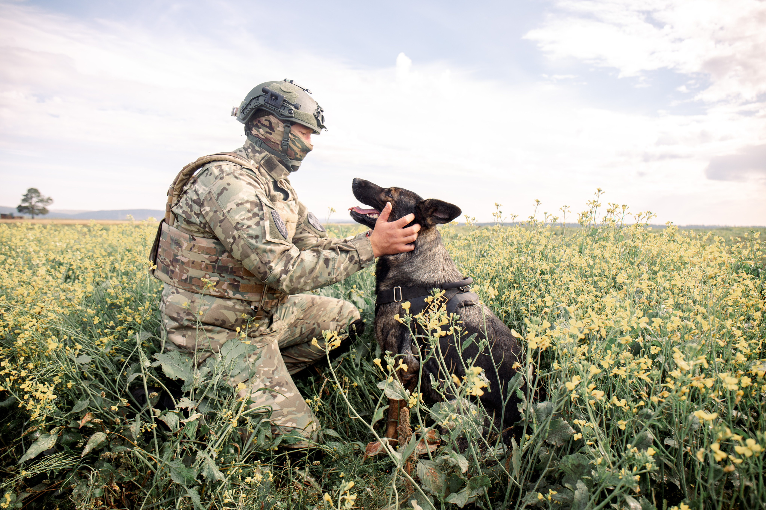Поле. Для тех, кто не ждёт удачи, а создаёт её. Каждая фотосессия — это твой момент, твой стиль, твой успех. 📸