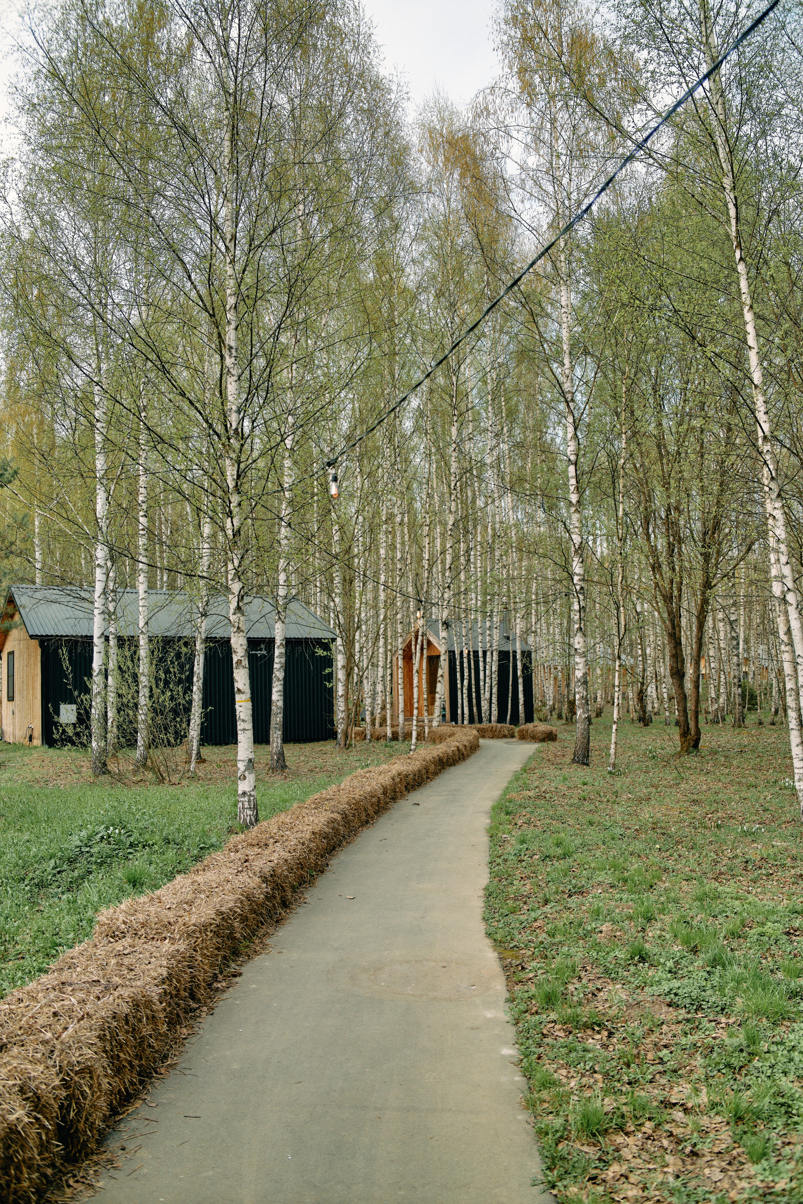 Бутик-отель Поле летом. Профессиональный Фотограф во Владимире, в Москве и в Суздале — Полина Романычева