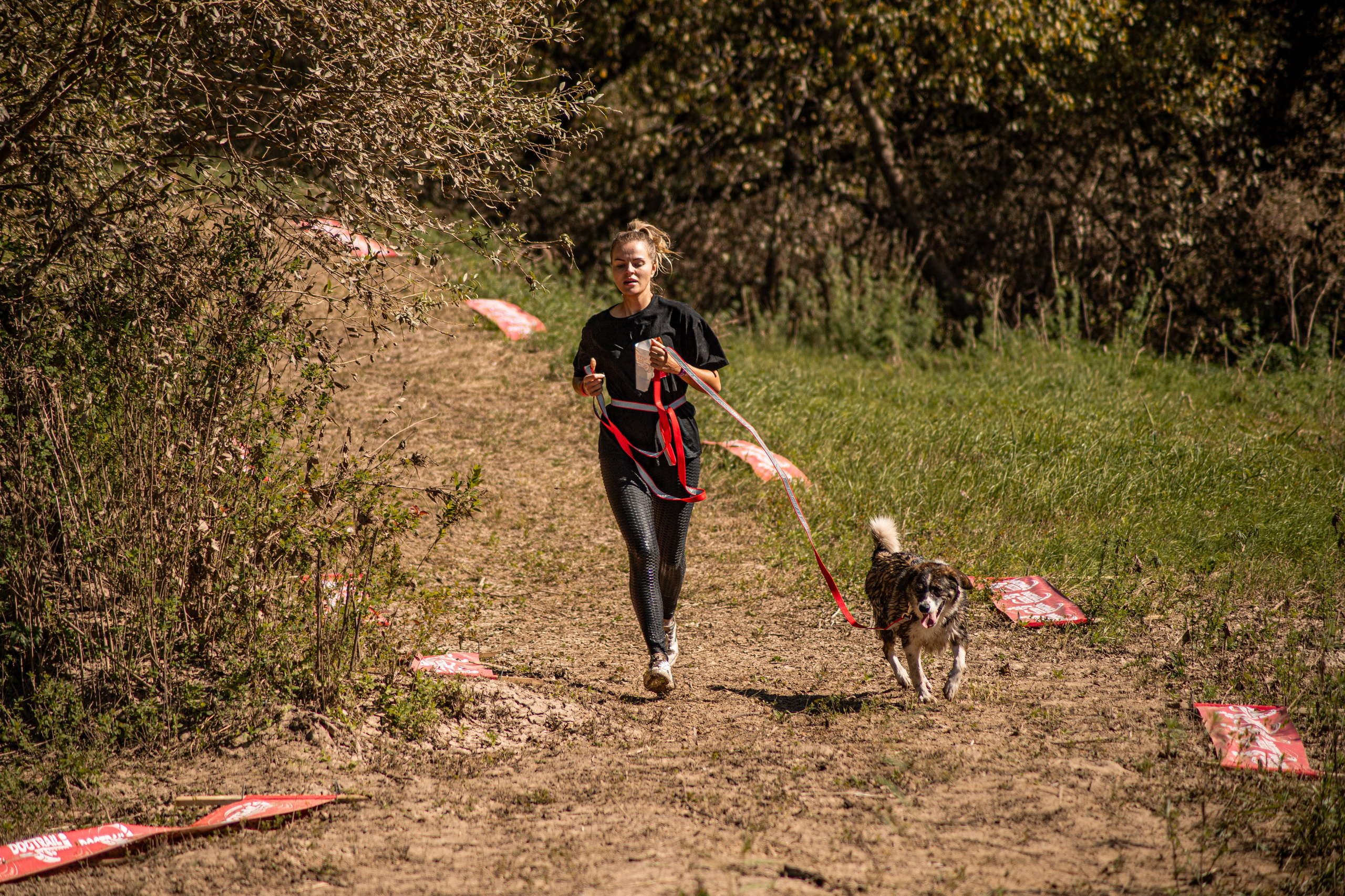 Dogtrail 2023. Уссурийск
