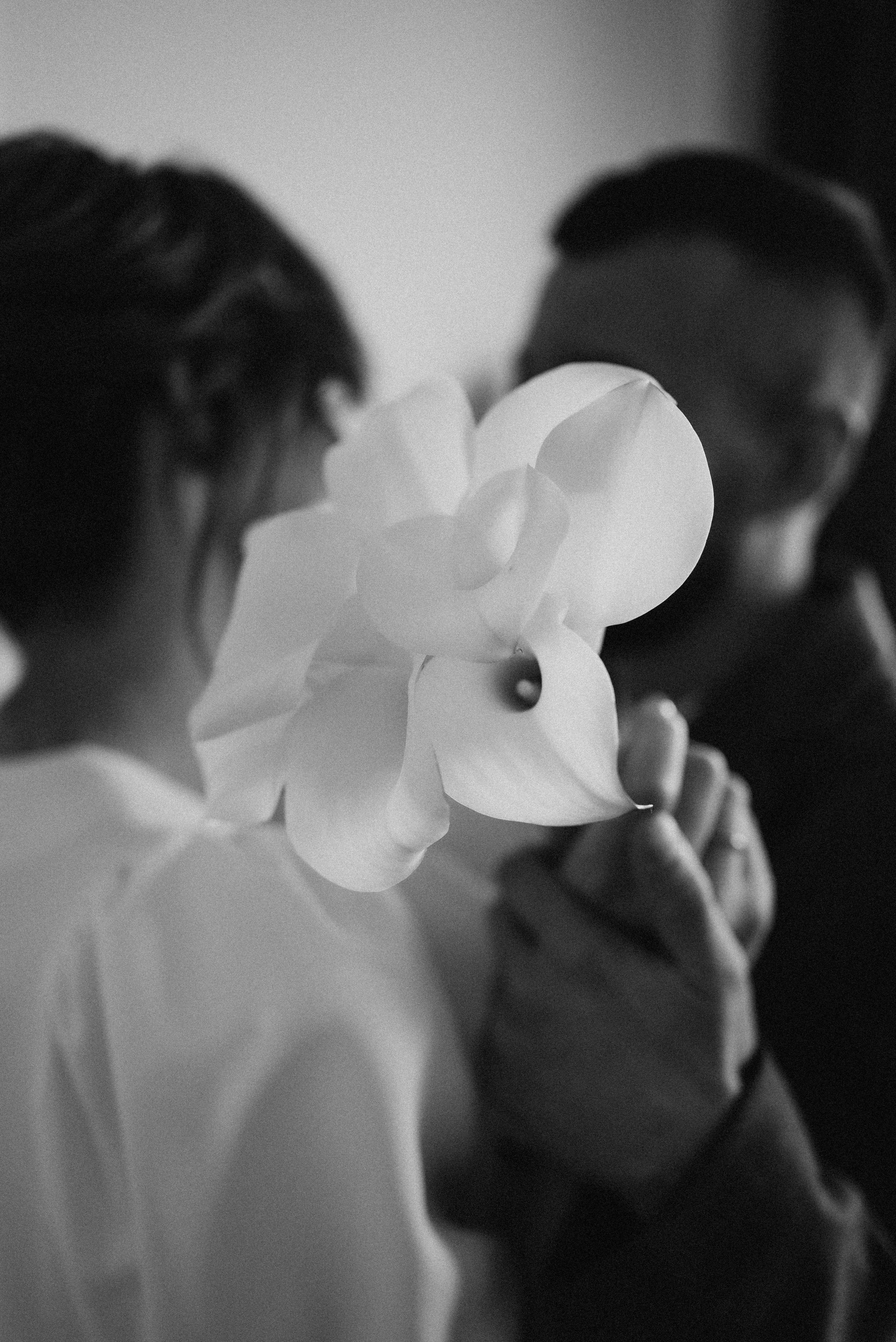 Катерина и Андрей. Женский и семейный фотограф в Москве и Красногорске Светлана Левченко