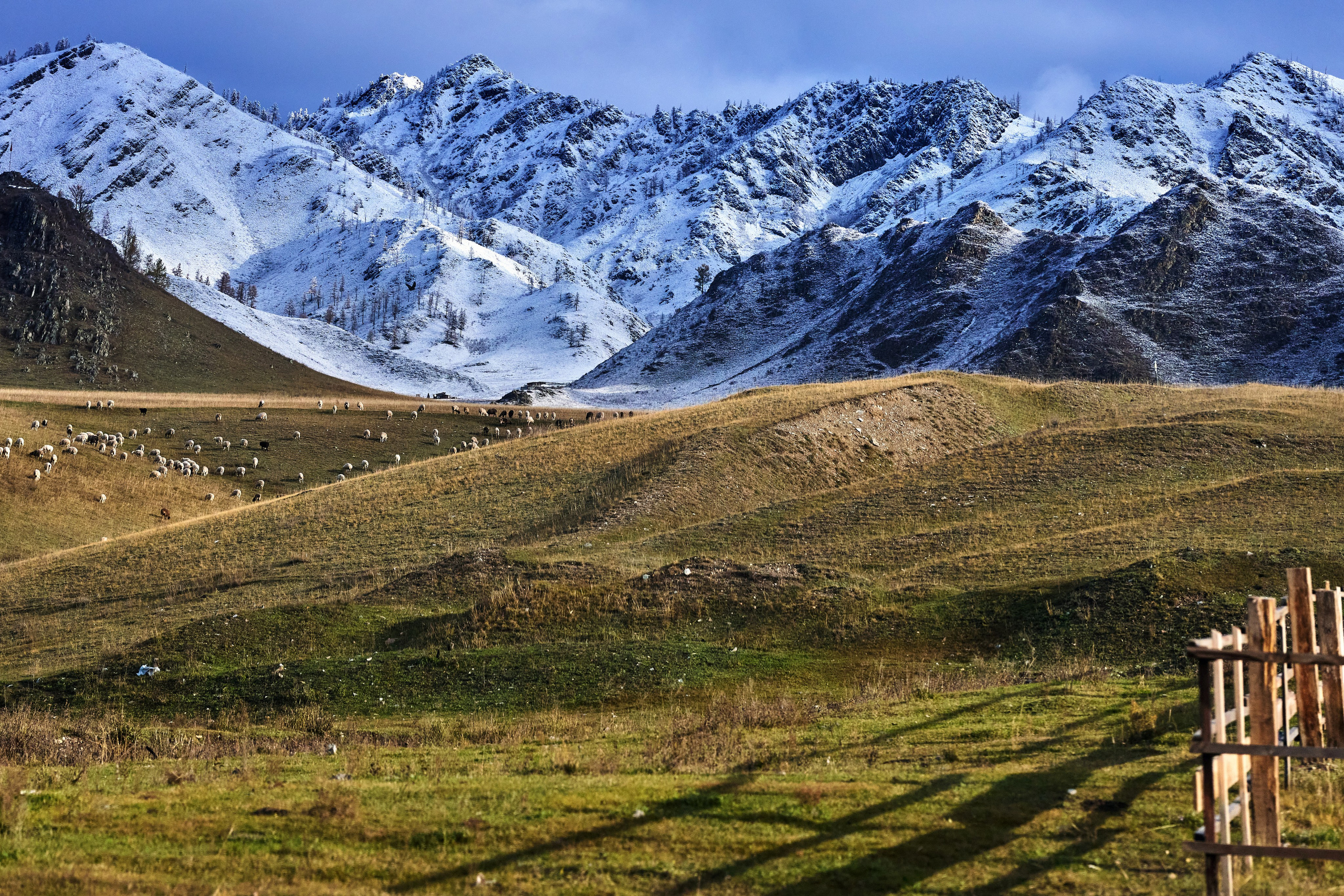 Пейзажный фотограф в Горном Алтае: съёмки природы и гор. Фотограф Опыт Качество Скорость Горный Алтай Барнаул