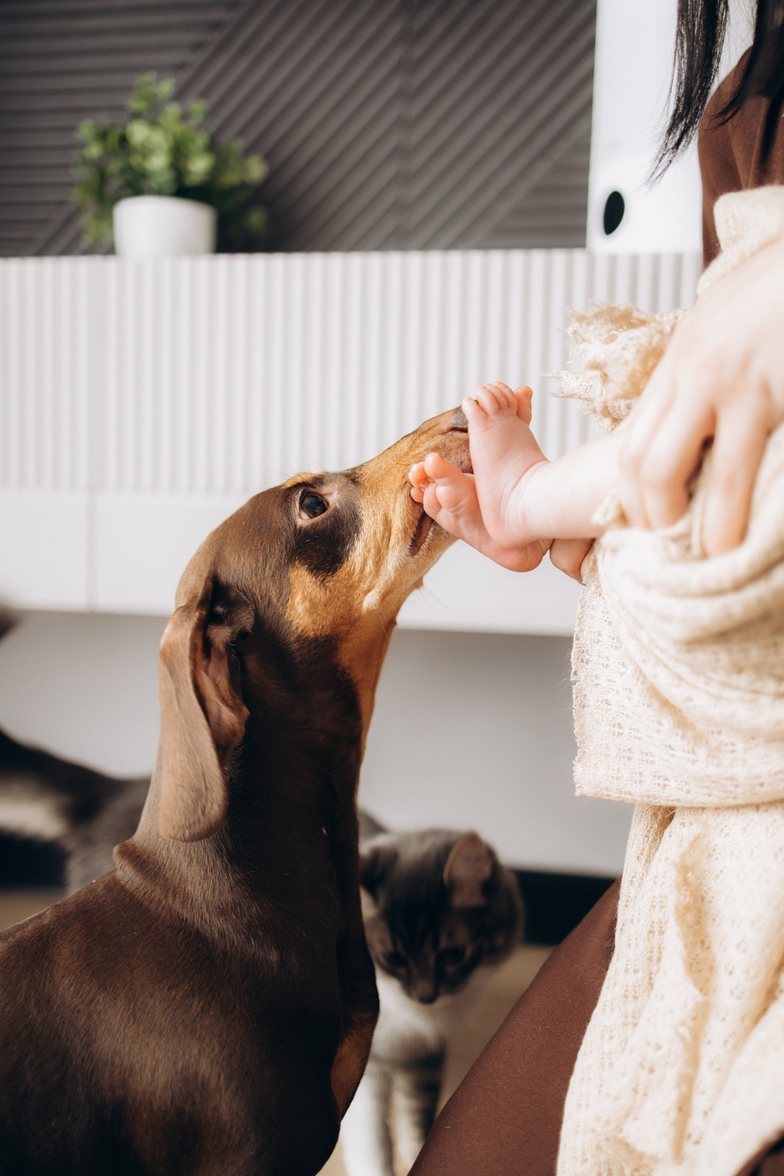 Артем. Фотограф новорожденных в Москве и Московской области Наталья Збиглей
