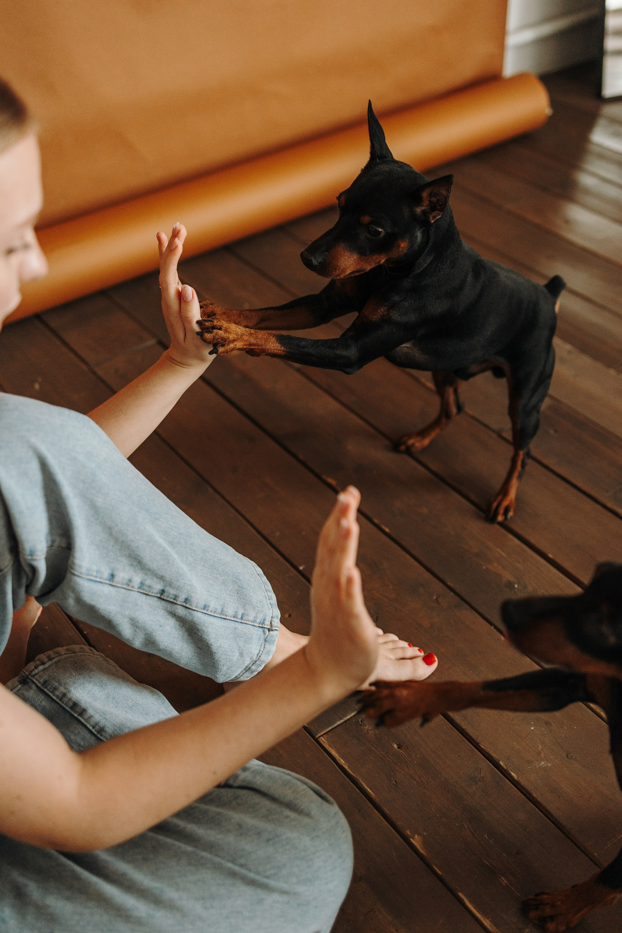 Катя и ее мальчики. Фотограф — Анималист | Санкт-Петербург