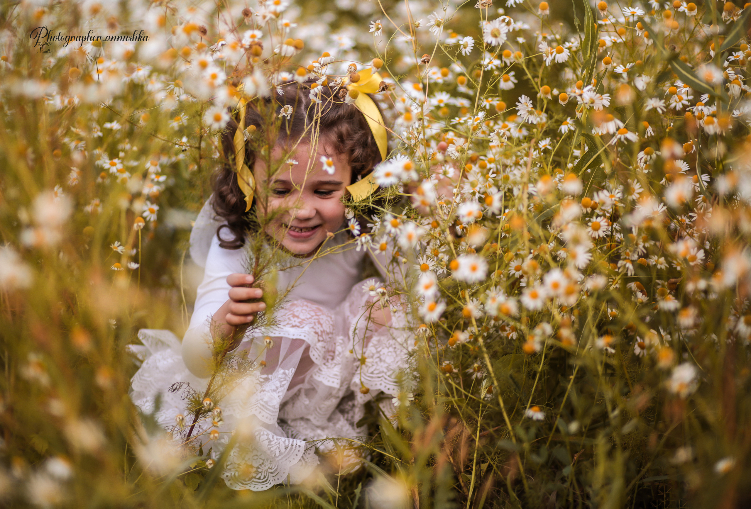 Ромашковый рай