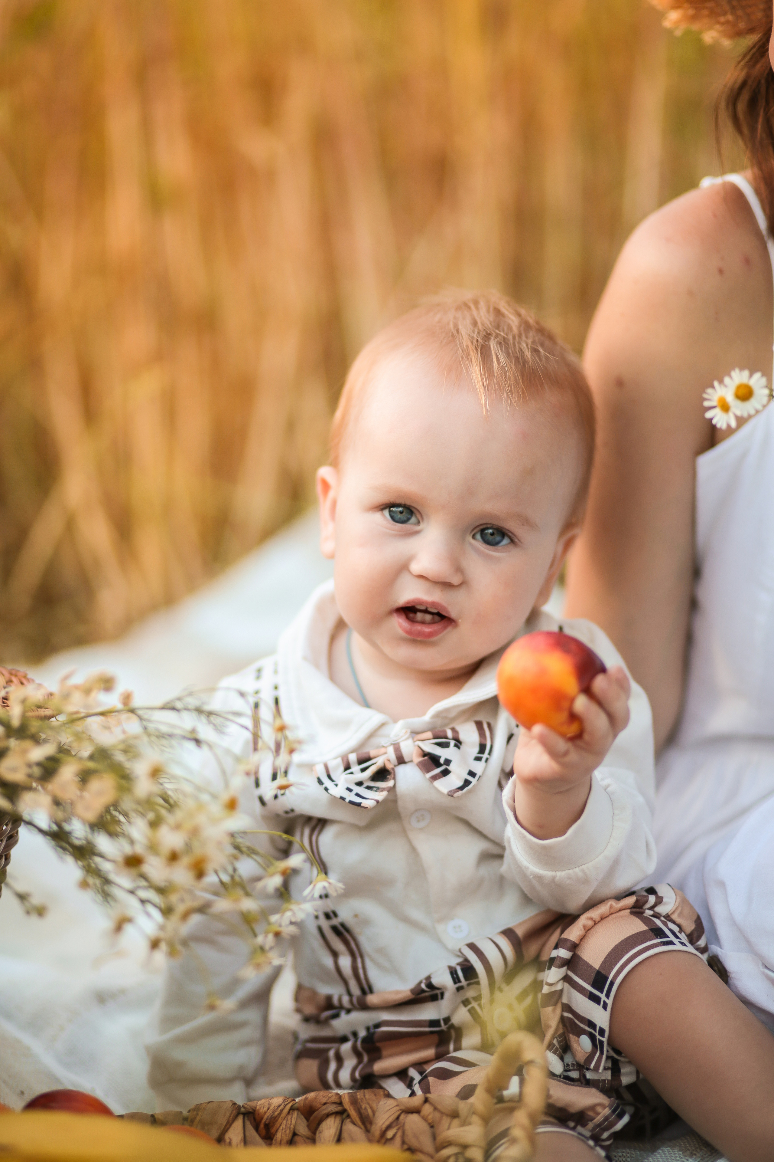 Закатная пшеница. Семейный фотограф в городе Саратове — Анна