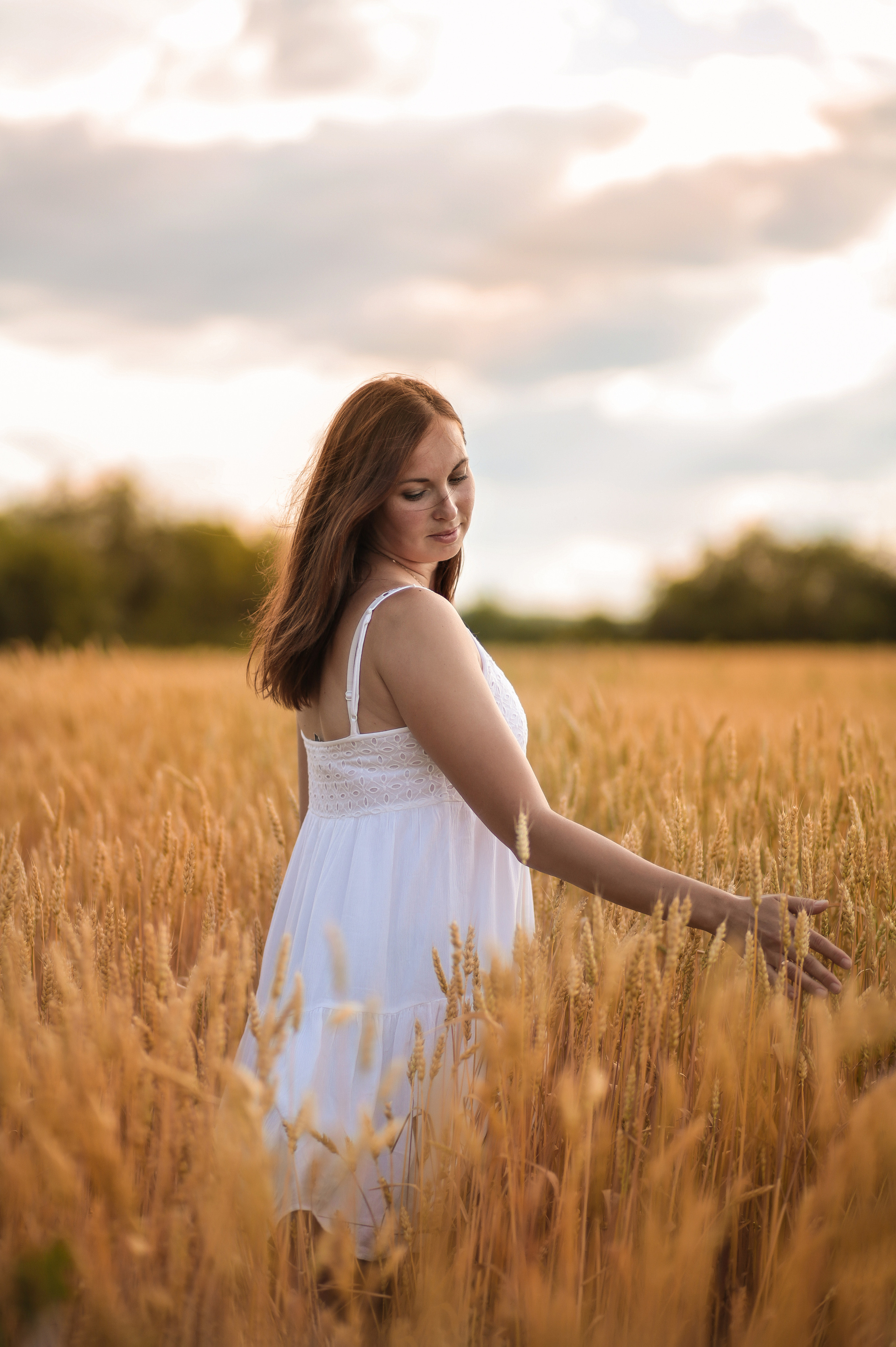 Закатная пшеница. Семейный фотограф в городе Саратове — Анна