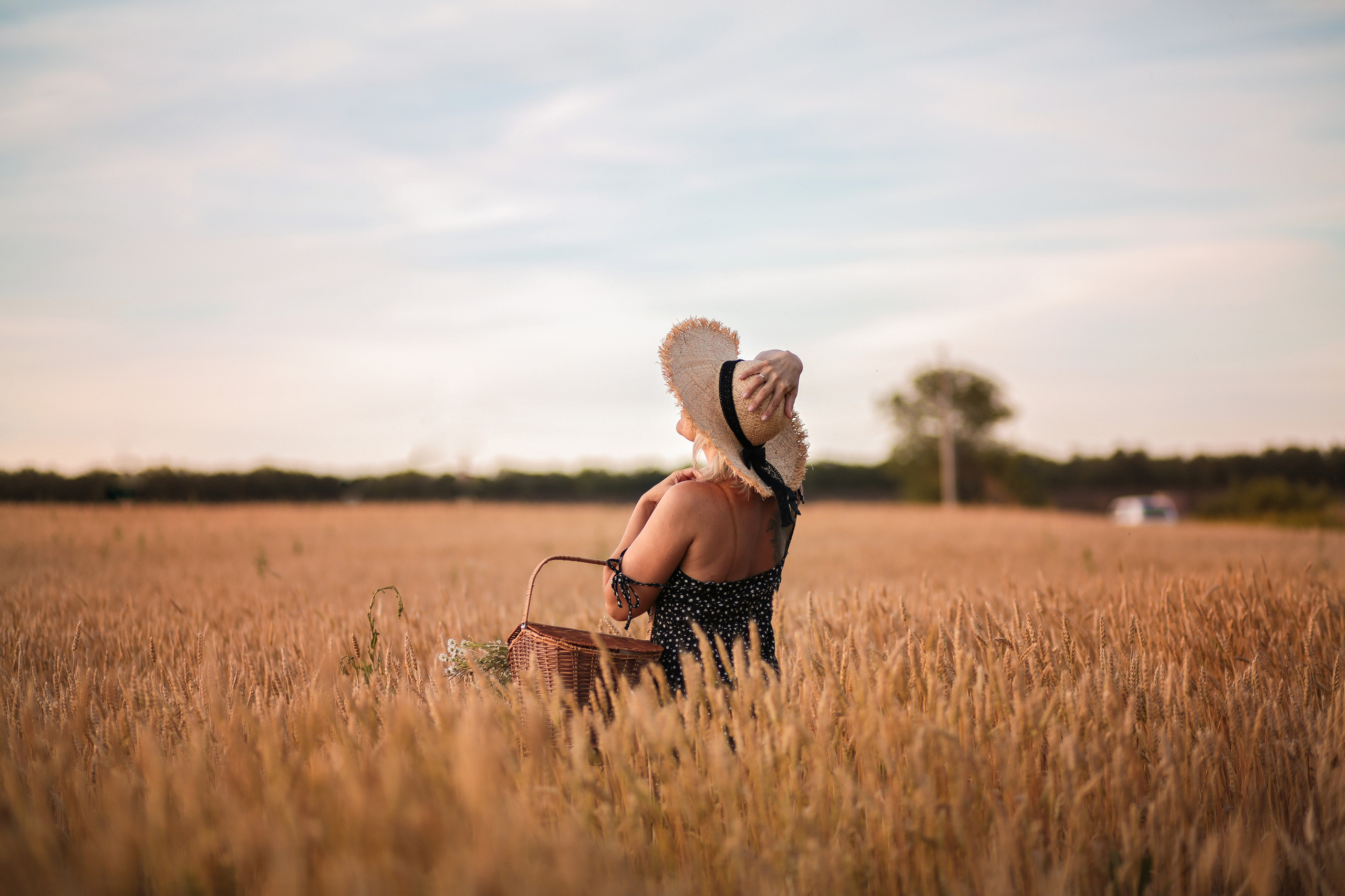 Закатная пшеница. Семейный фотограф в городе Саратове — Анна