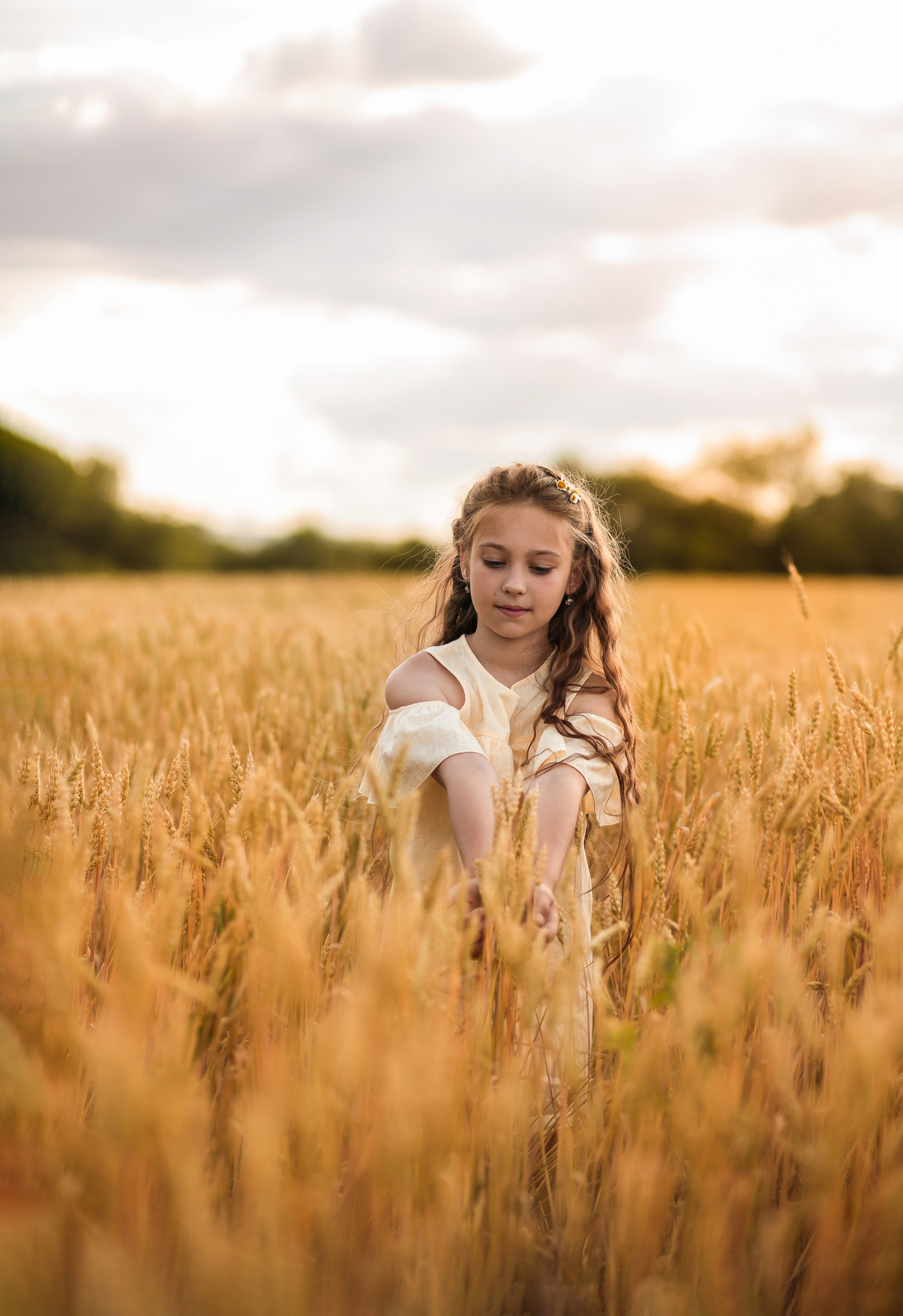 Закатная пшеница. Семейный фотограф в городе Саратове — Анна