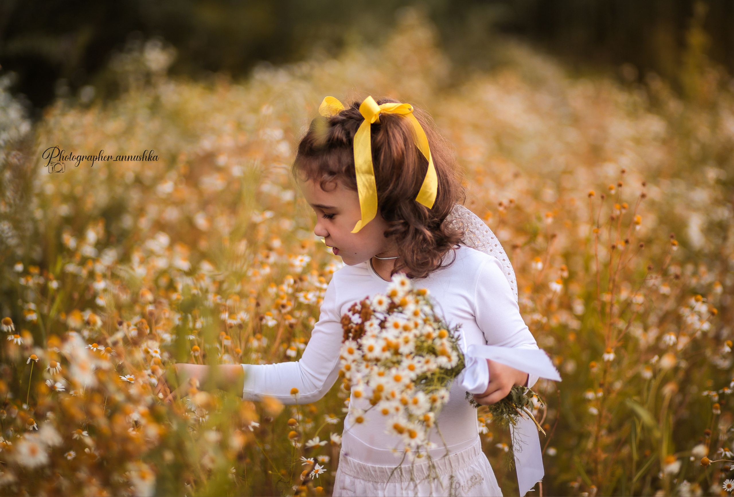 Ромашковый рай. Семейный фотограф в городе Саратове — Анна