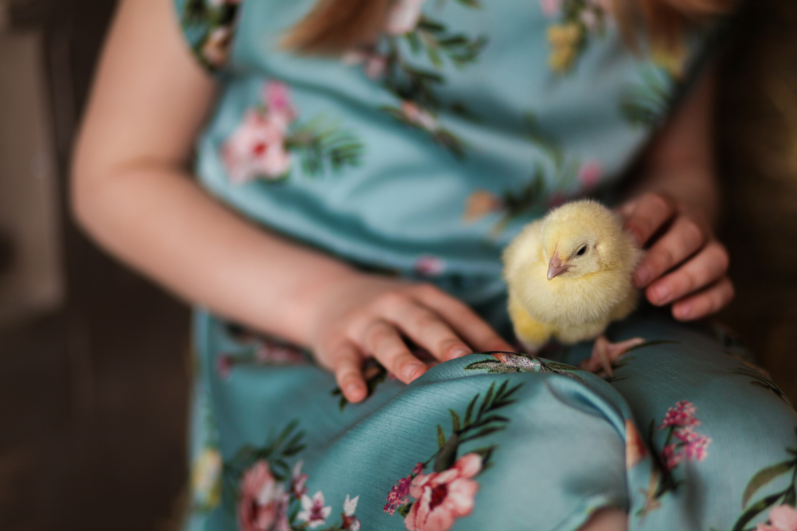 Пасхальная съемка Ольги и Даши. Семейный фотограф в городе Саратове — Анна
