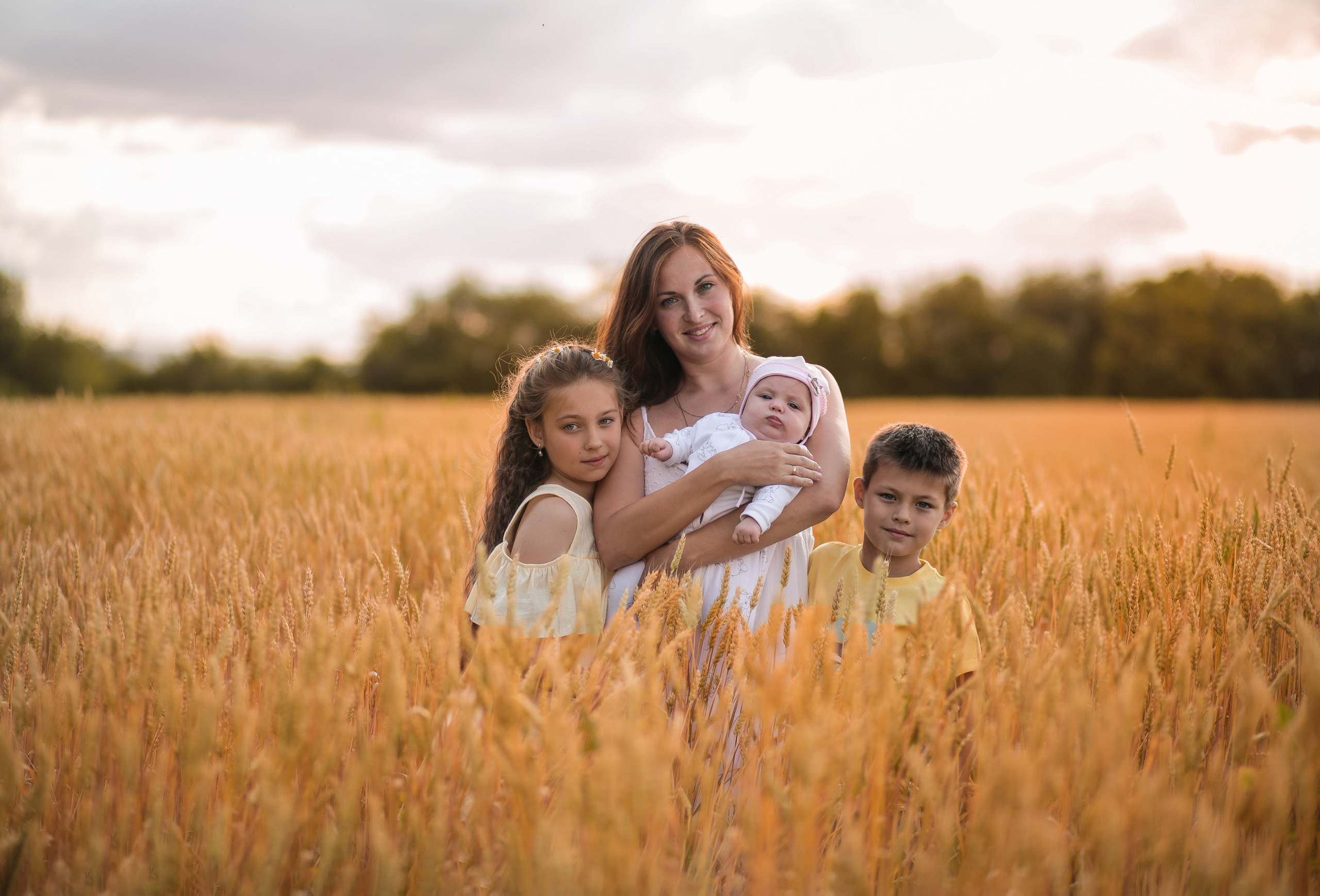 Закатная пшеница. Семейный фотограф в городе Саратове — Анна