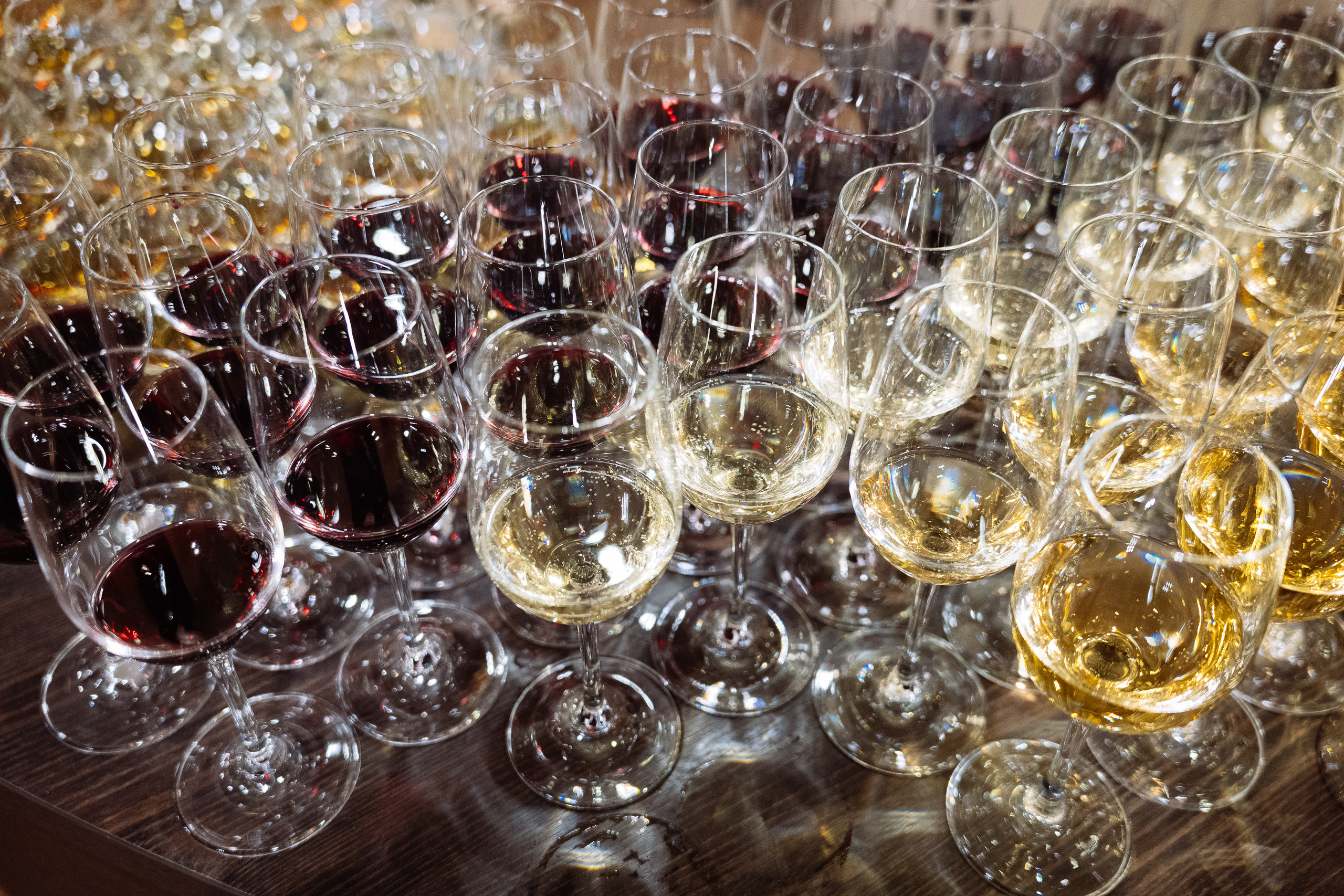 Feron конференция в Краснодаре. Видео и фото для бизнеса |Video & Foto|Ростов-на-Дону|Краснодар|Москва