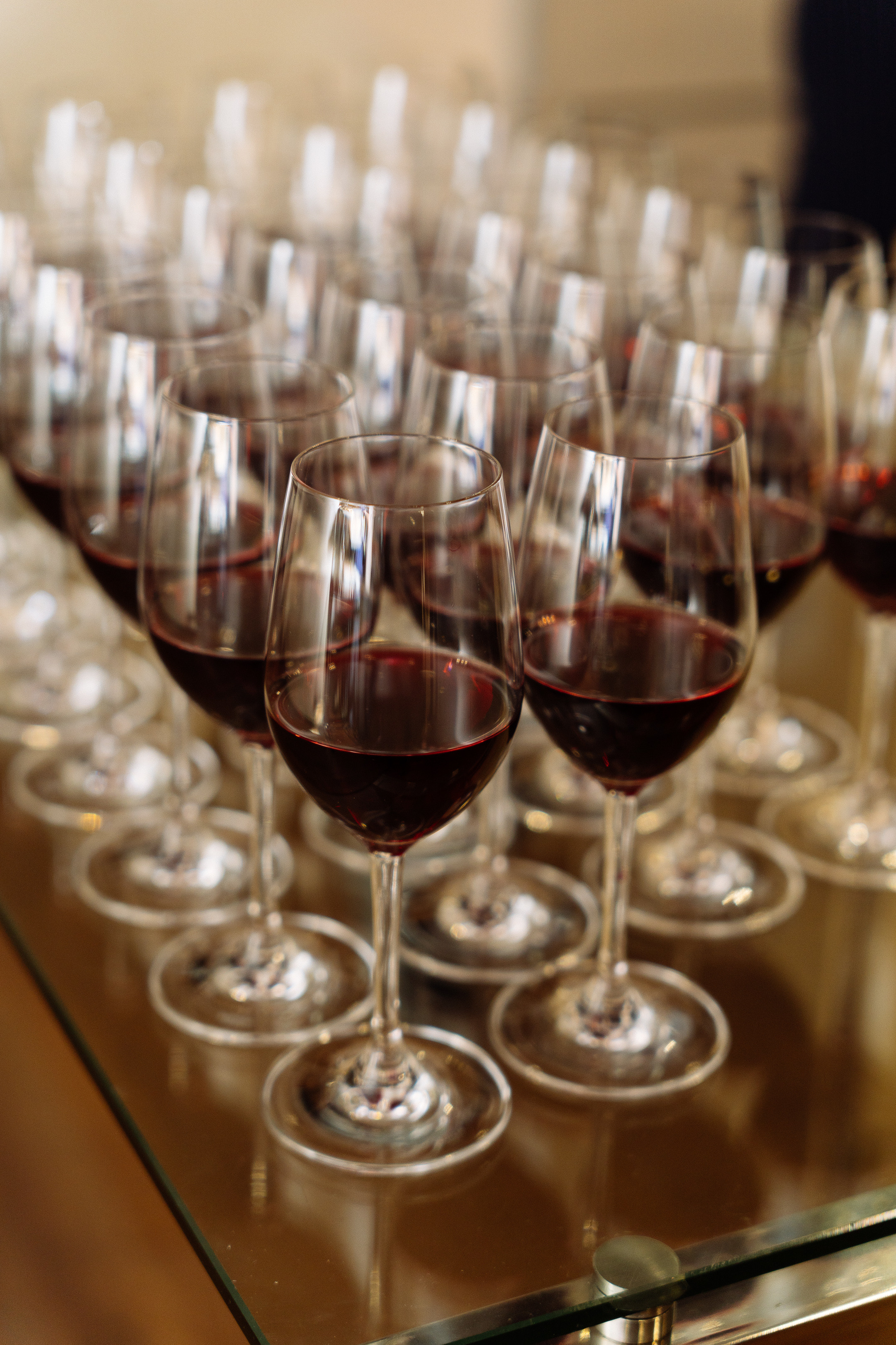 Feron конференция в Краснодаре. Видео и фото для бизнеса |Video & Foto|Ростов-на-Дону|Краснодар|Москва