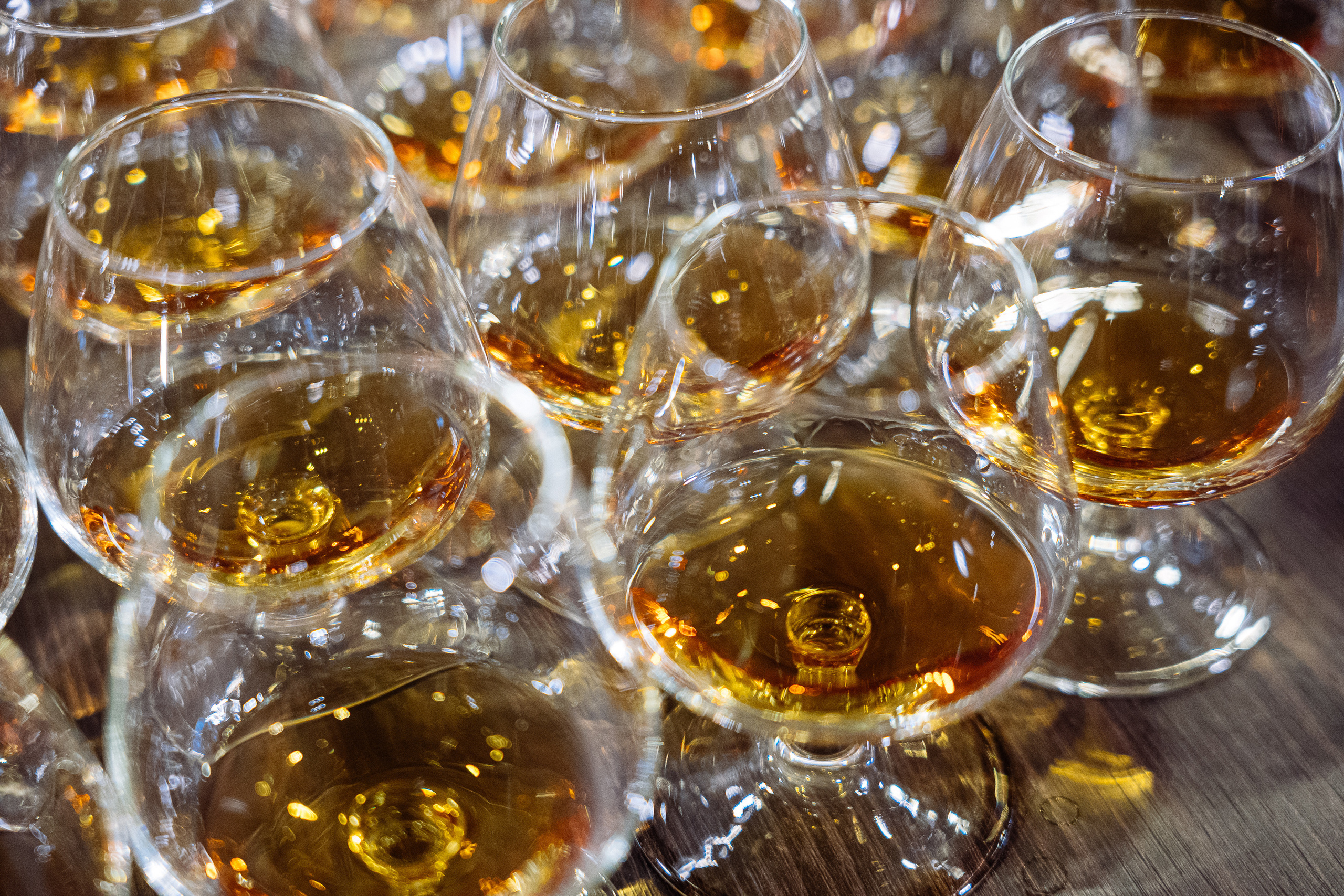 Feron конференция в Краснодаре. Видео и фото для бизнеса |Video & Foto|Ростов-на-Дону|Краснодар|Москва