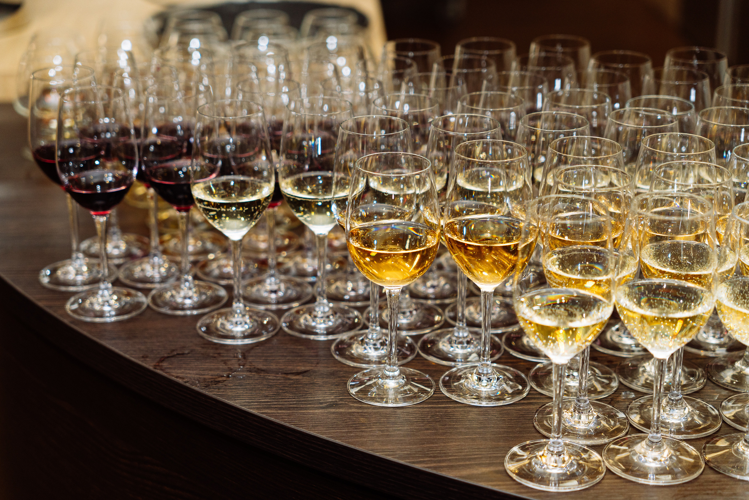 Feron конференция в Краснодаре. Видео и фото для бизнеса |Video & Foto|Ростов-на-Дону|Краснодар|Москва