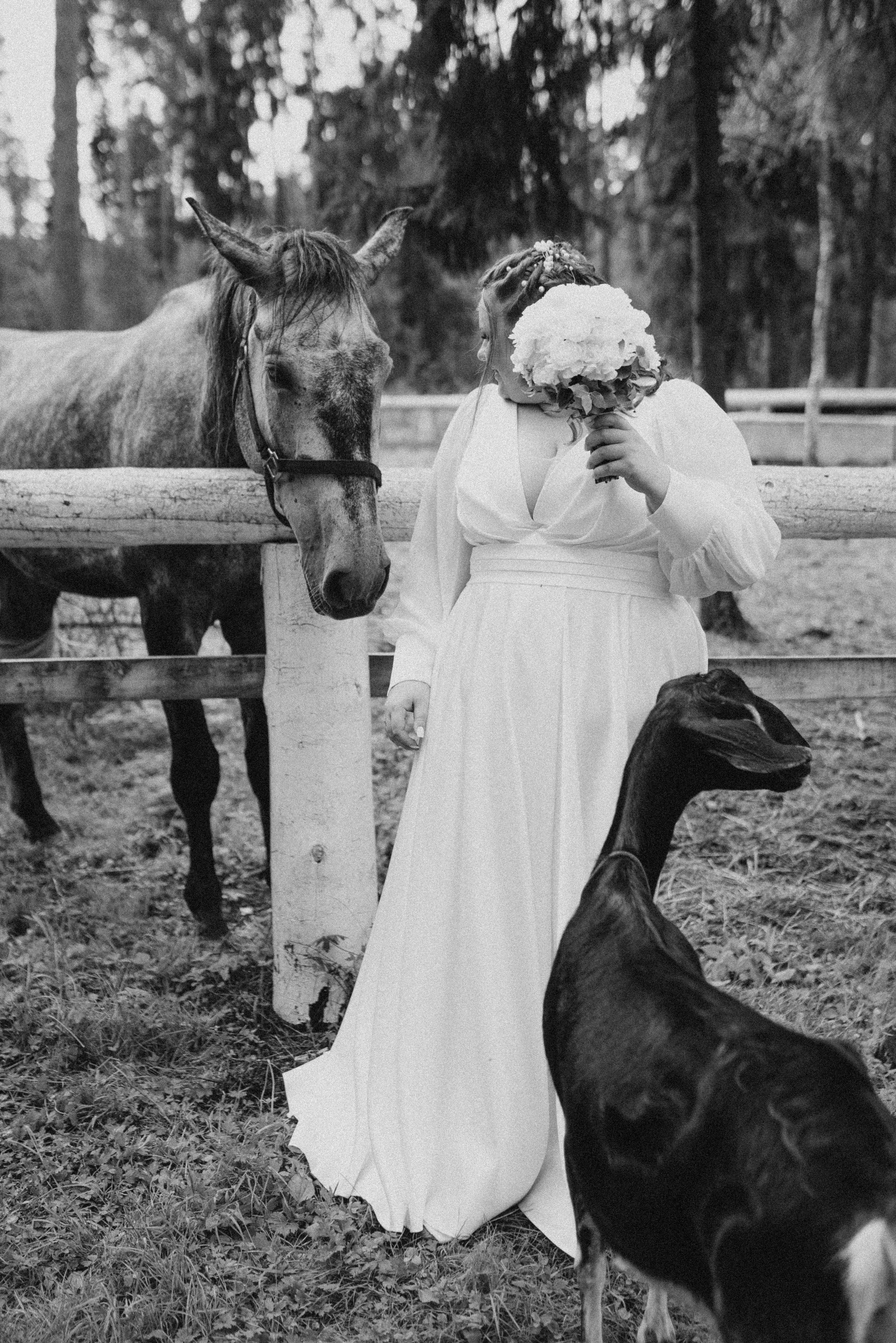 Мазурины. Свадебный фотограф в г. Москва, МО Гороза Алена