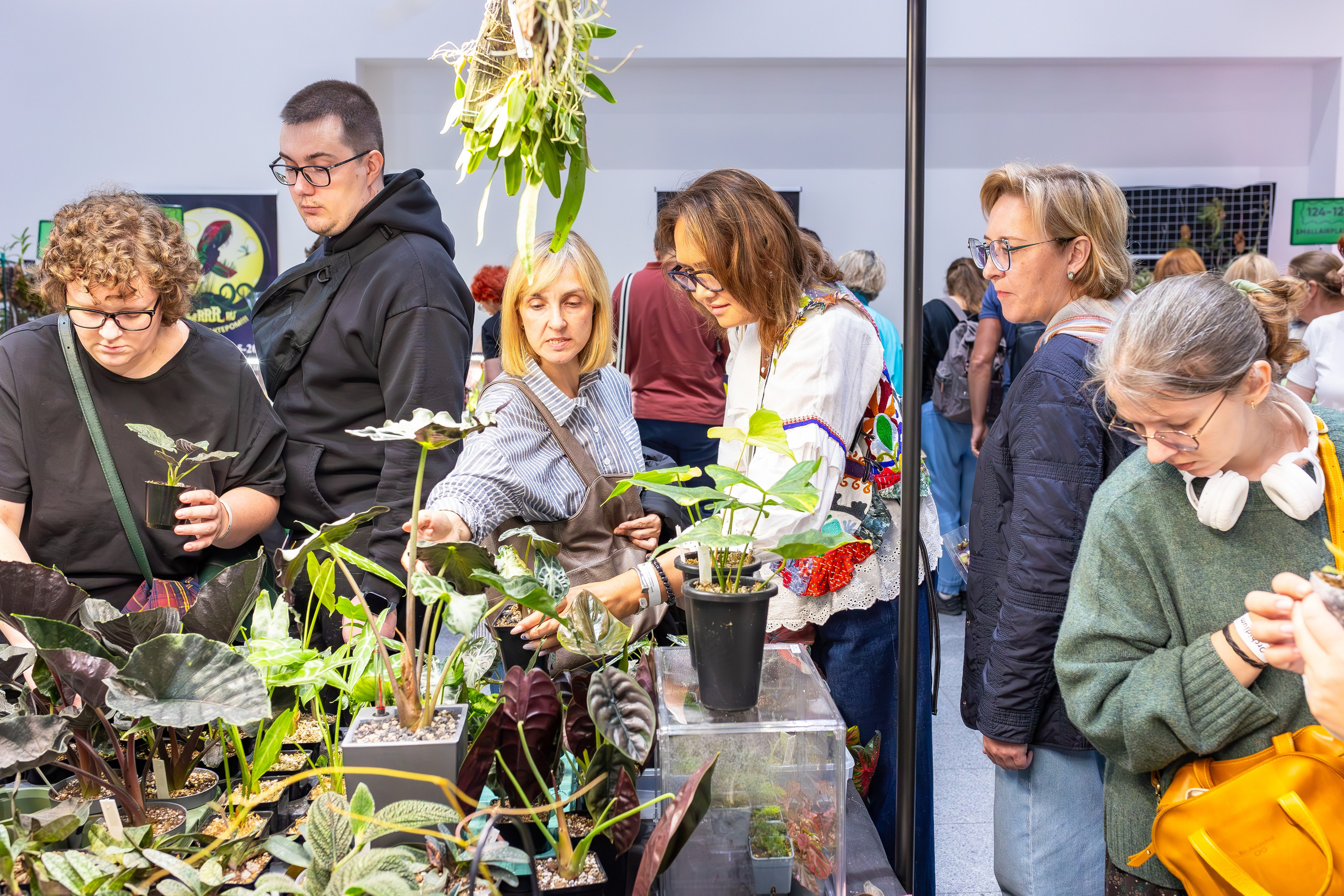 Орхидиум сентябрь 2025. Александра Куликова фотограф, Москва