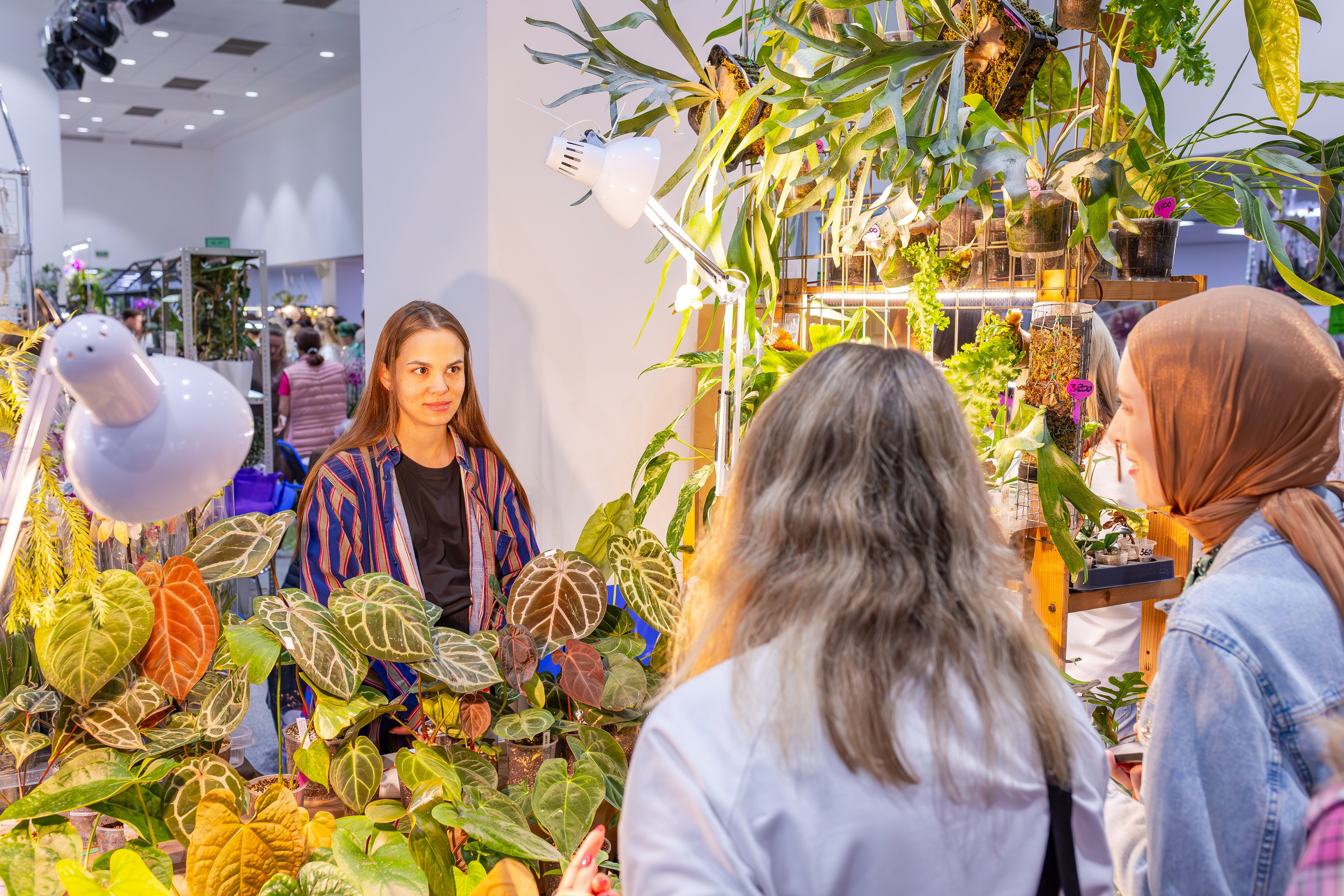 Орхидиум сентябрь 2025. Александра Куликова фотограф, Москва