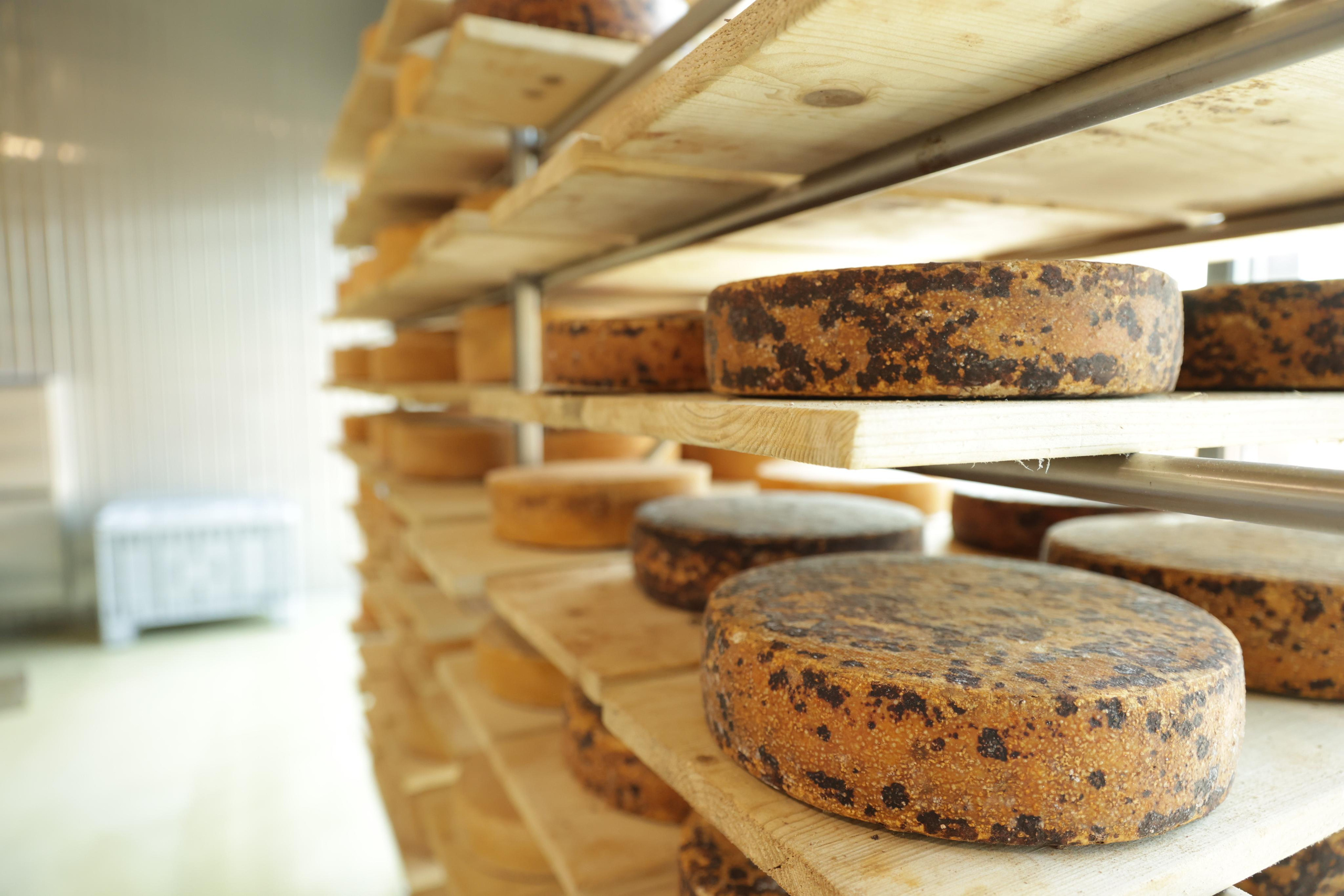 СырПирМир. Моя фотография