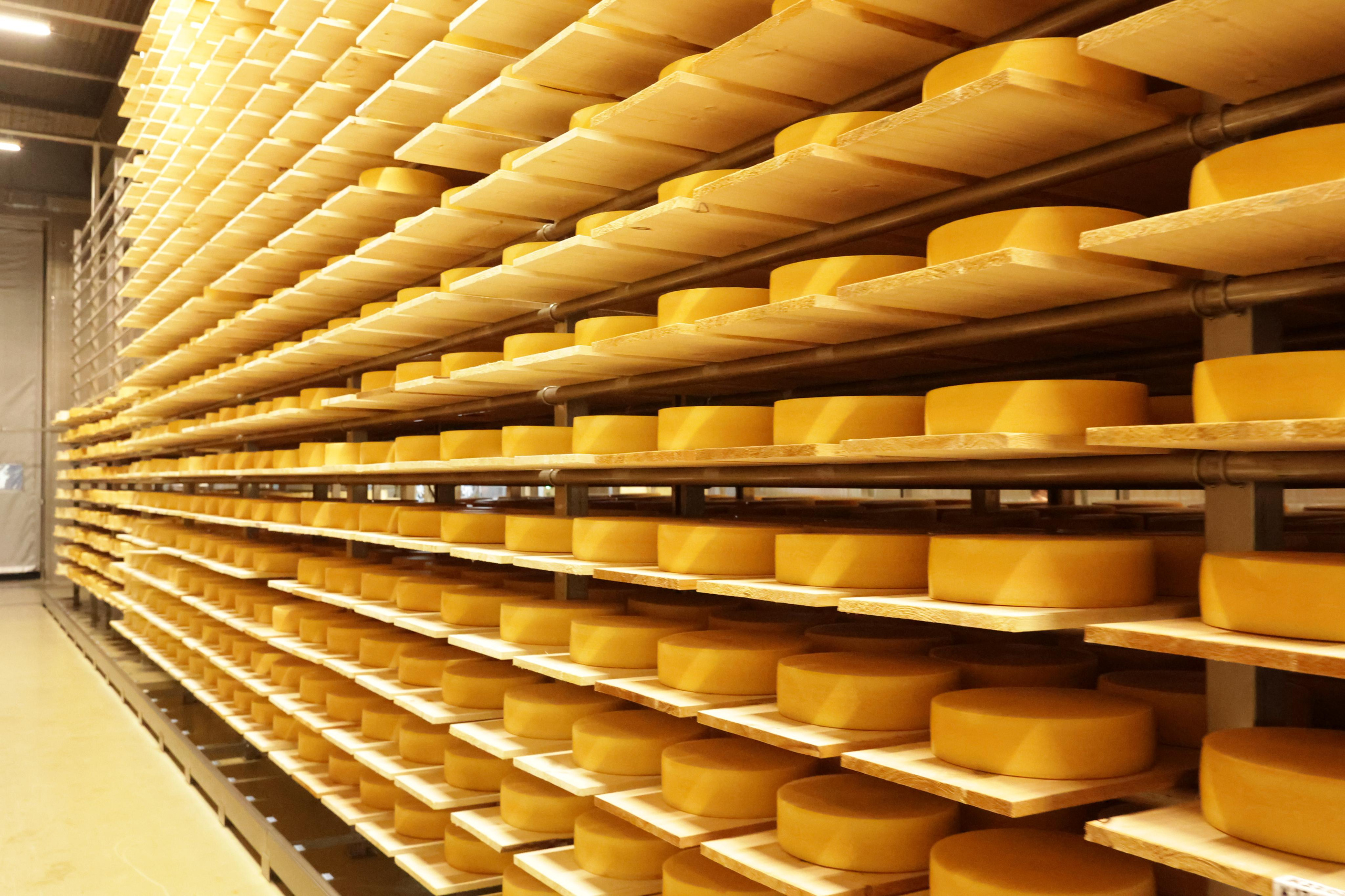 СырПирМир. Моя фотография