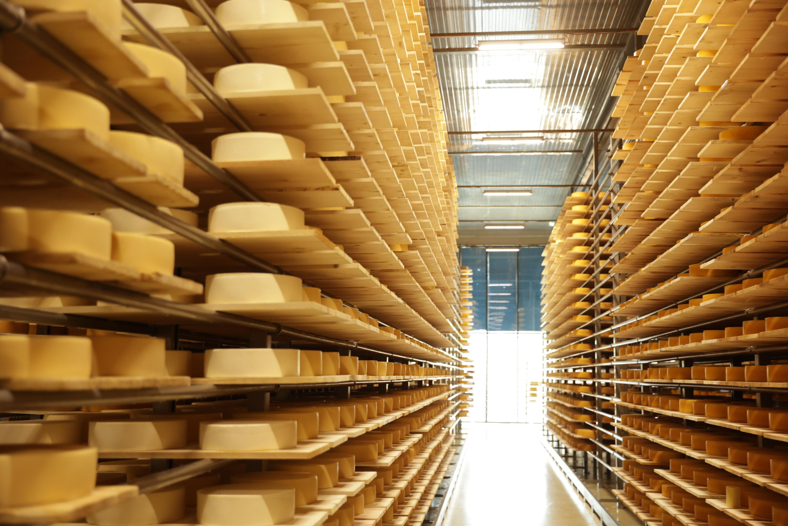 СырПирМир. Моя фотография