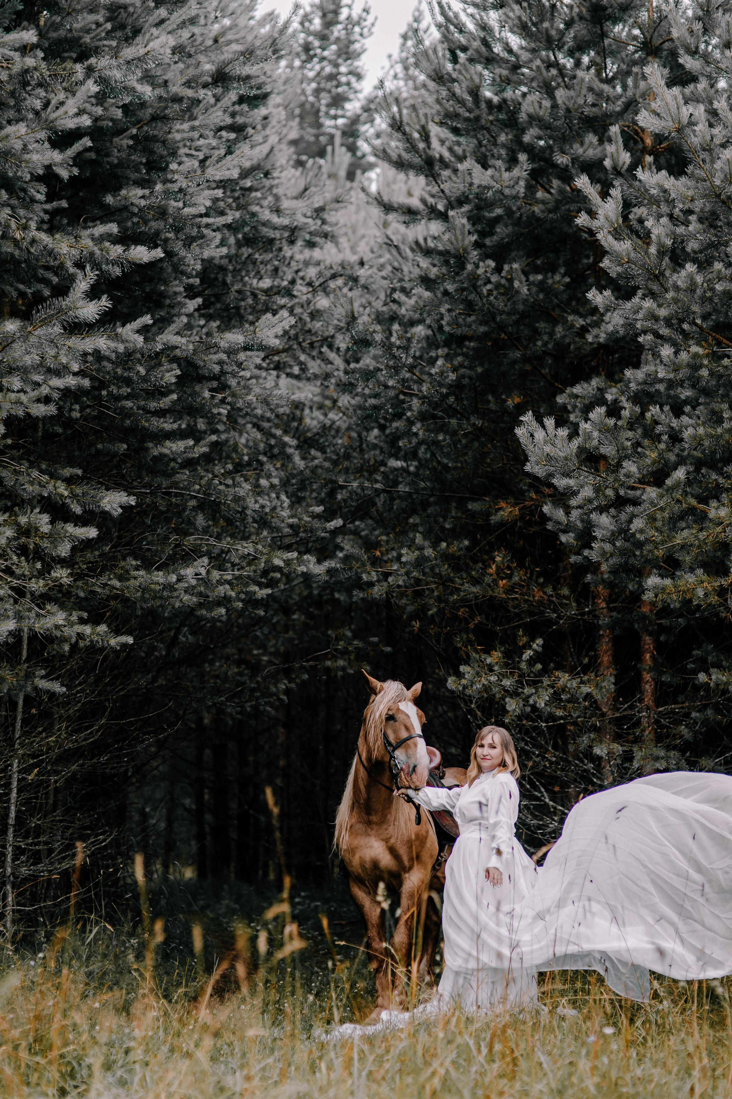 Платья со шлейфами. Фотосессия. Псков. Фотосессии Фотодни Псков СПб
