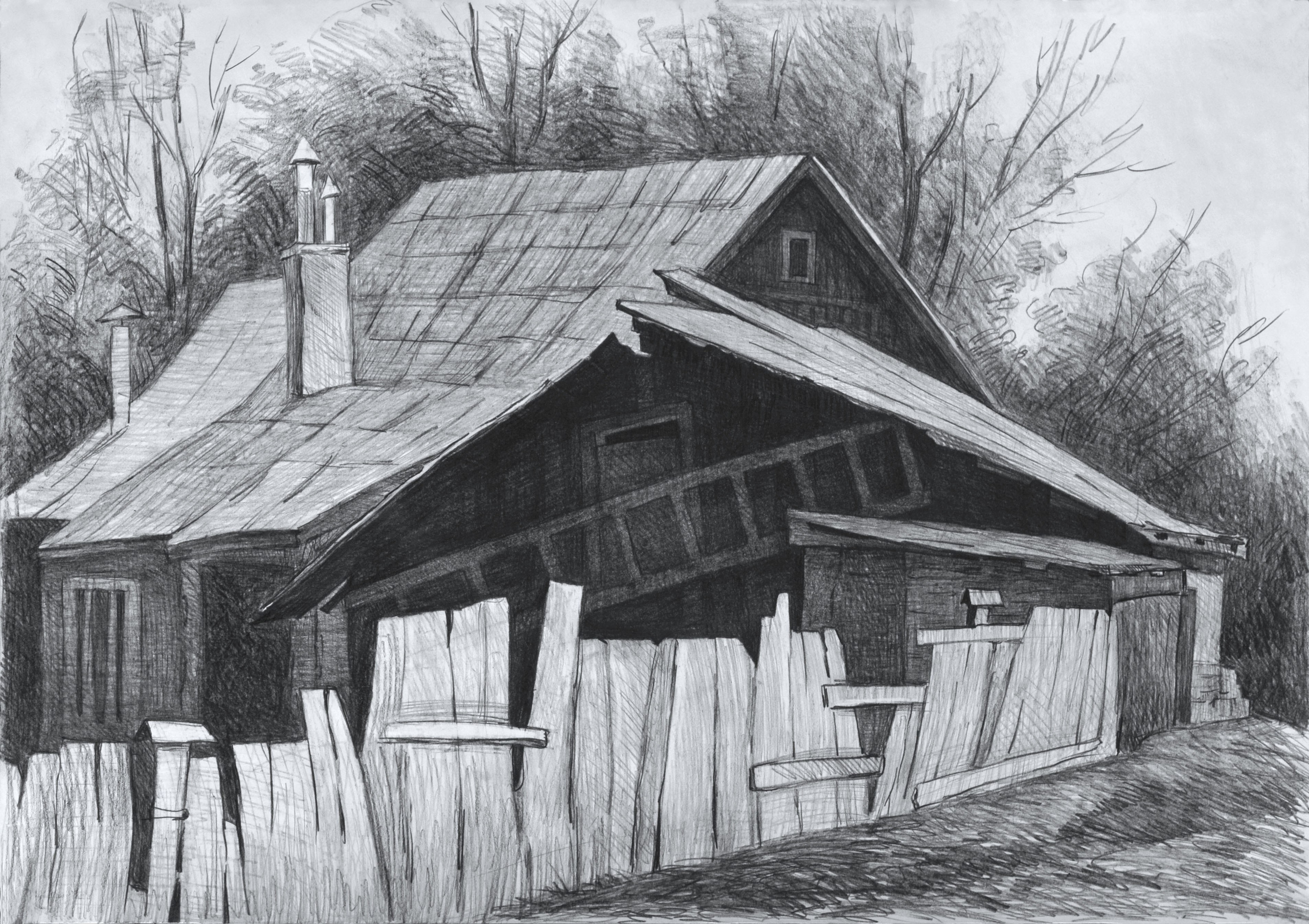 Графика. Ефремова Ольга. Художник