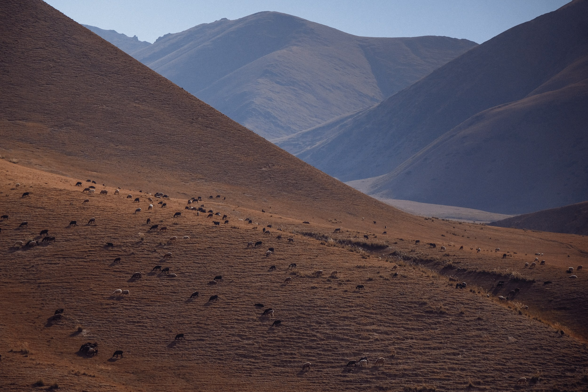 Кыргызстан. Фотограф Дмитрий Олрайт | Калуга, Россия