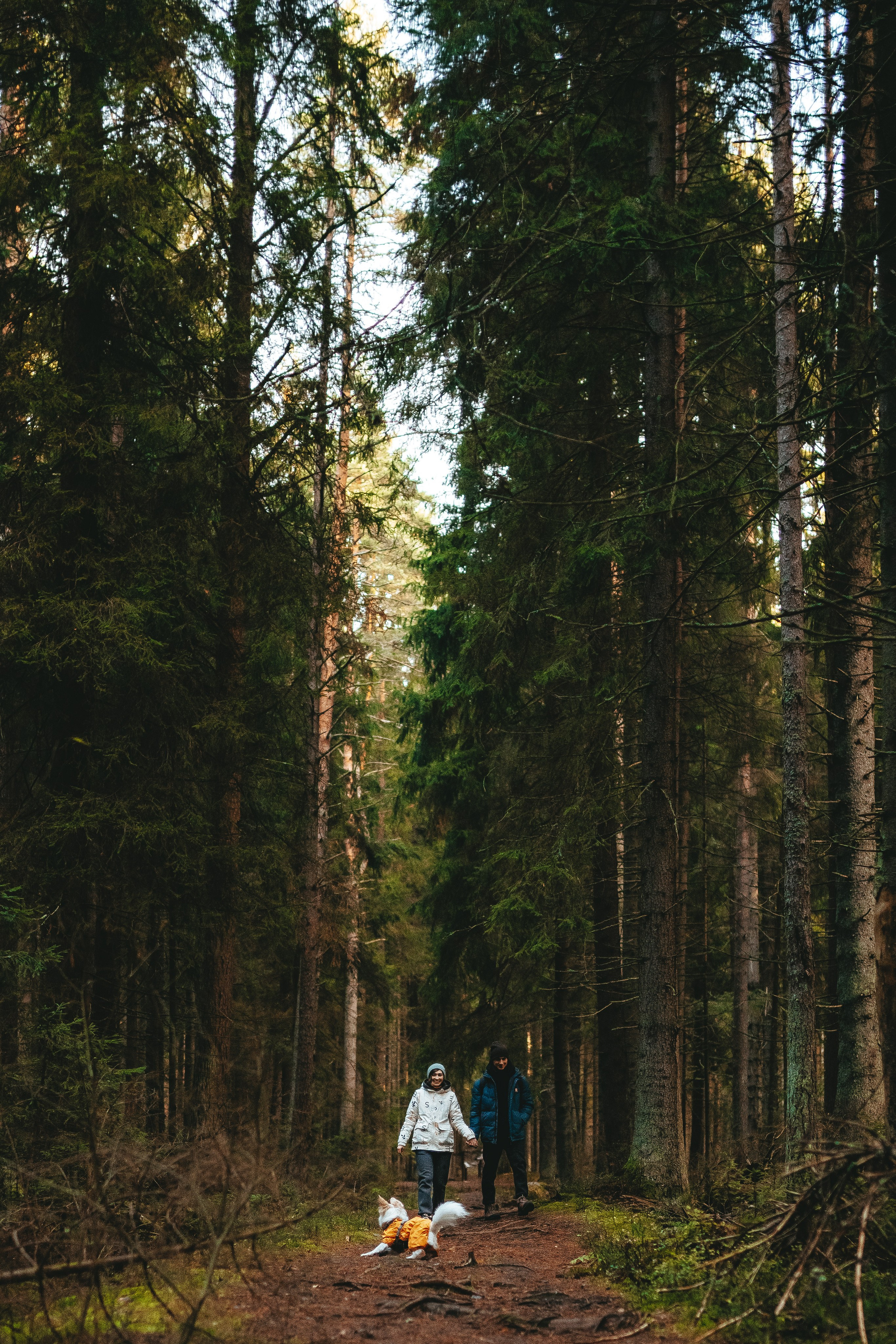 Бруно, Алена и Антон. Фотограф анималист в Спб недорого Олеся Майорова