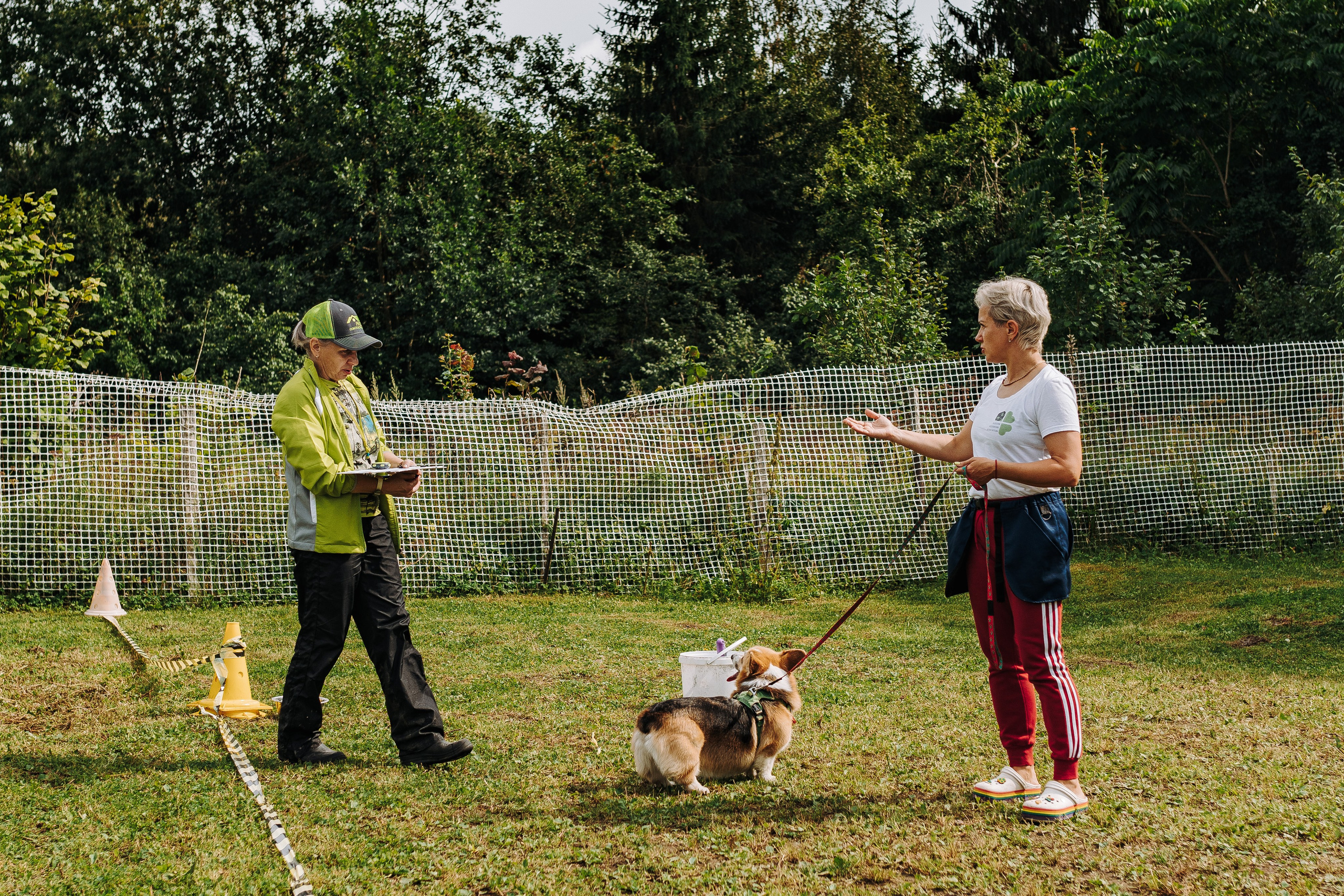 Соревнования по ноузворку в Новожилово. Фотограф анималист в Спб недорого Олеся Майорова