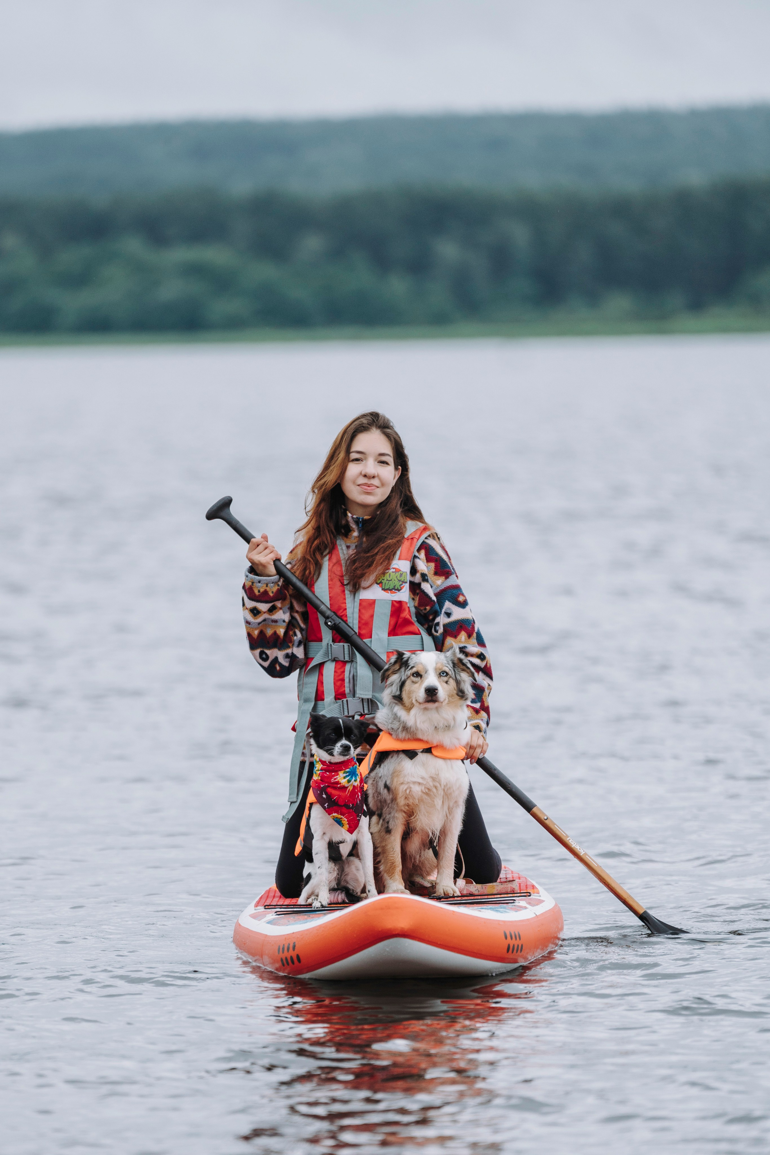 Катание на сапах с собаками. Фотограф анималист в Спб недорого Олеся Майорова