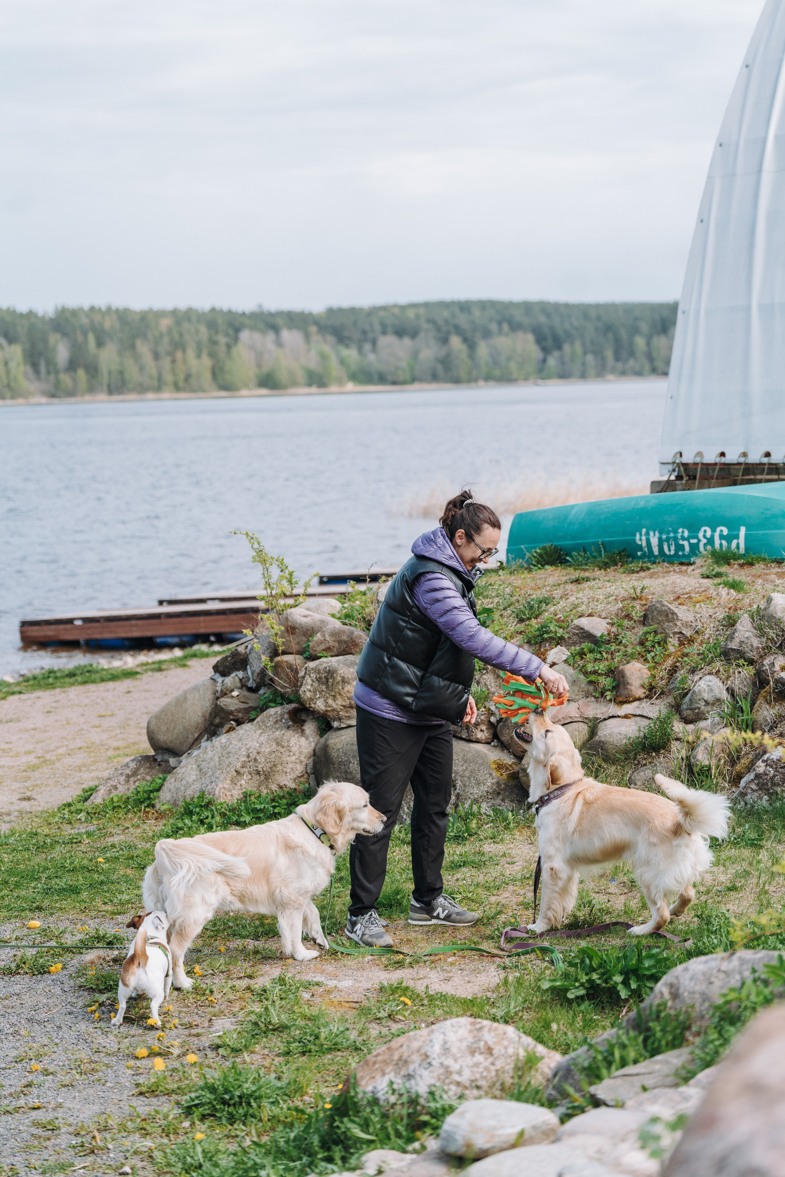 Соревнования по ноузворку в Лосево. Фотограф анималист в Спб недорого Олеся Майорова