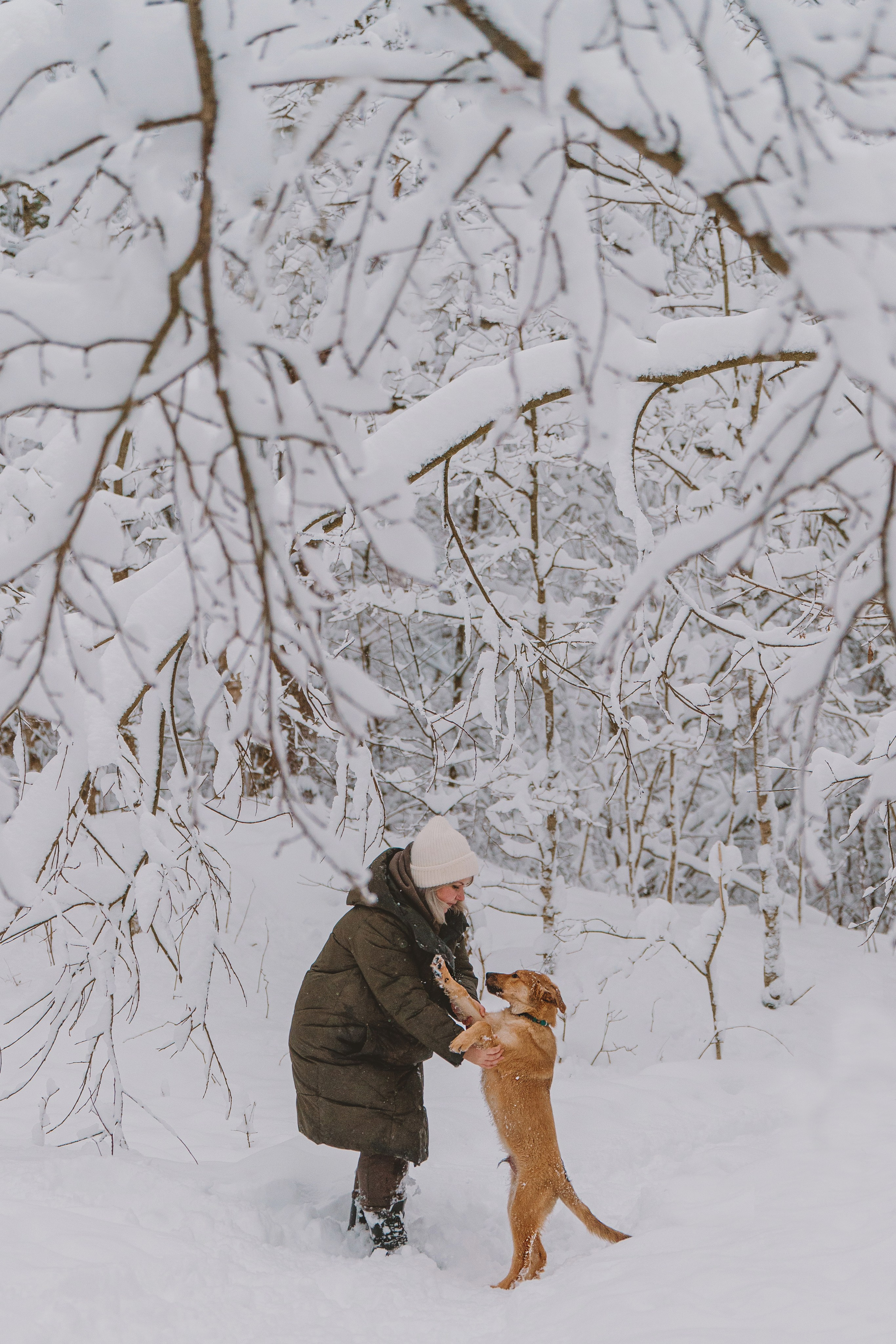 Фотосессия с питомцами на природе. Фотограф анималист в Спб недорого Олеся Майорова
