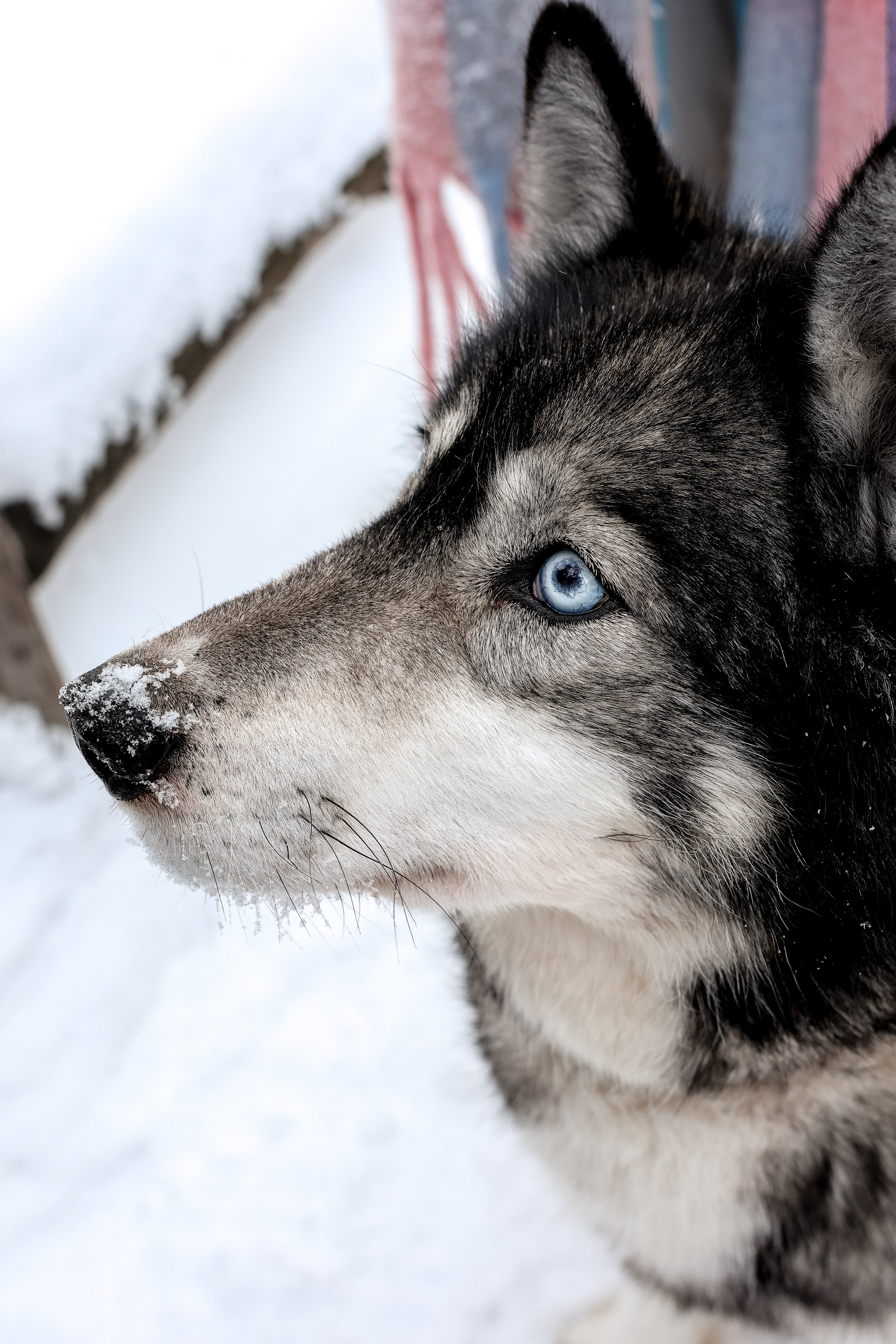 Громче слов. Фотограф Екатерина Голицына