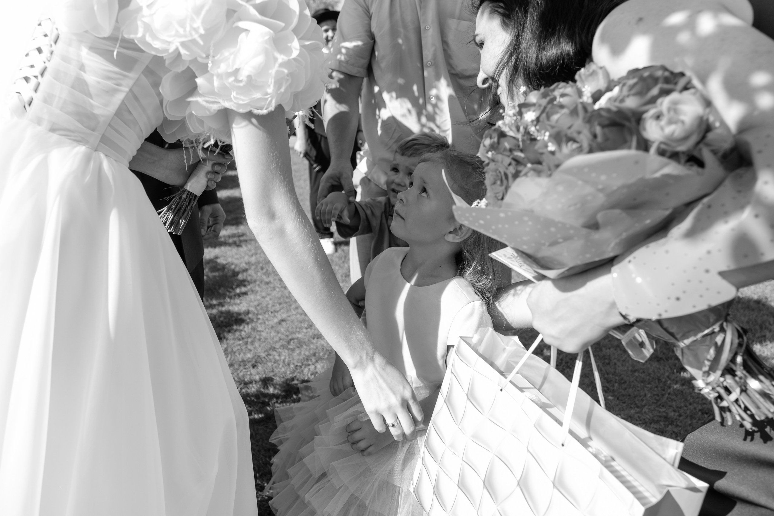 Vladimir Daria. Wedding photographer