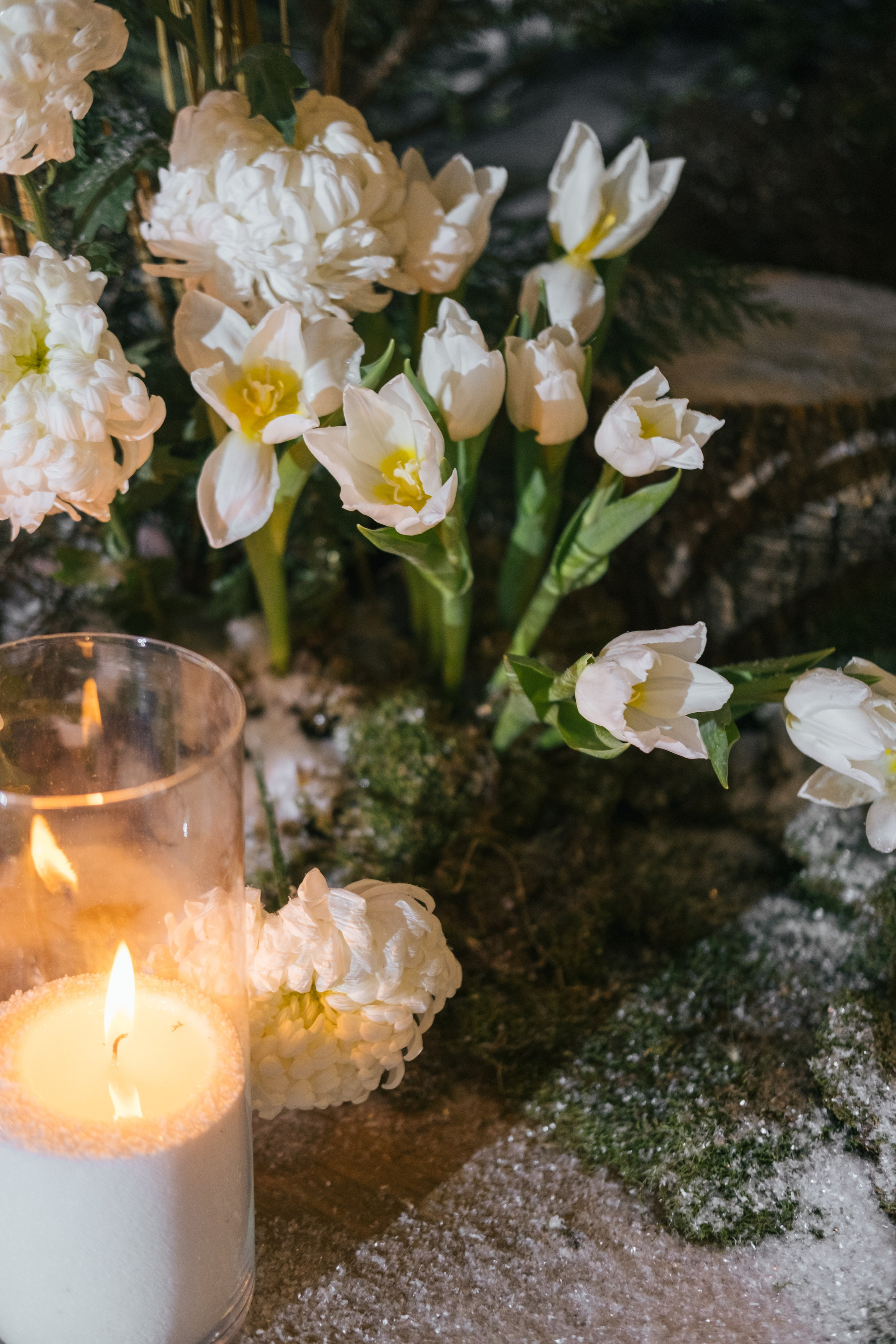 Алёна / Дмитрий. Свадебный Видеограф Фотограф в Сочи