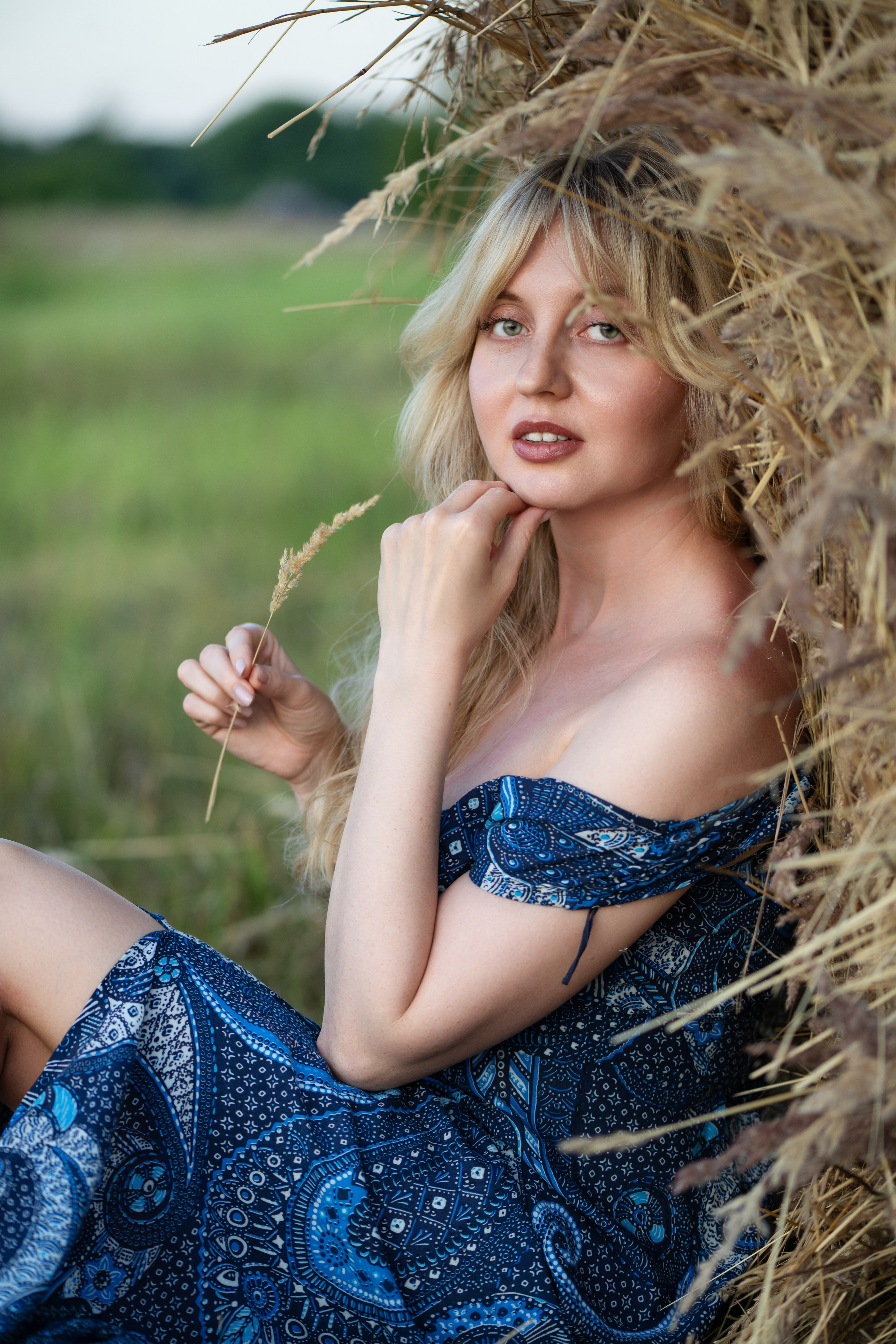 Сено-солома. Главная