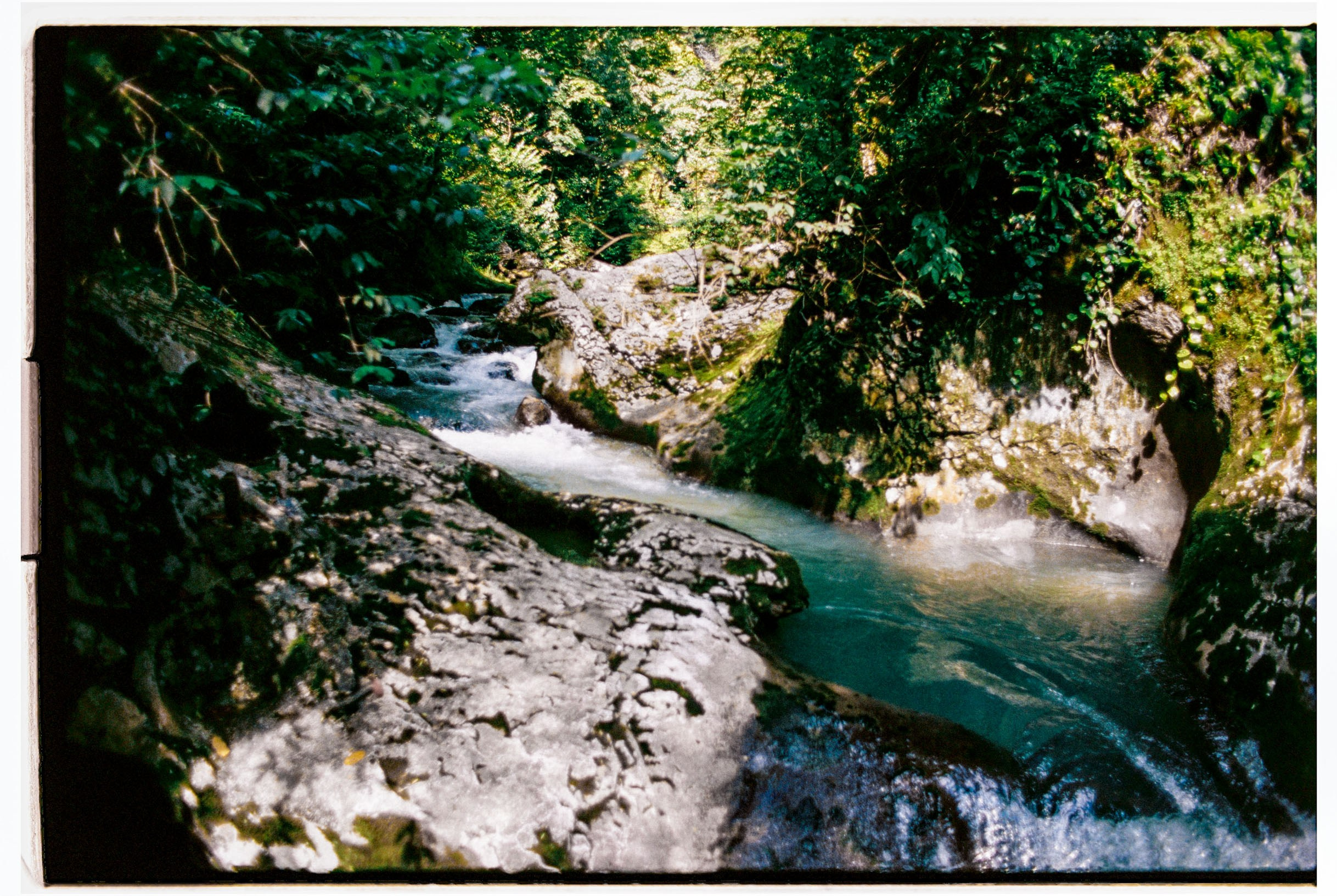 Abkhazia-2023. Никита Демидов. Nikita Demidov