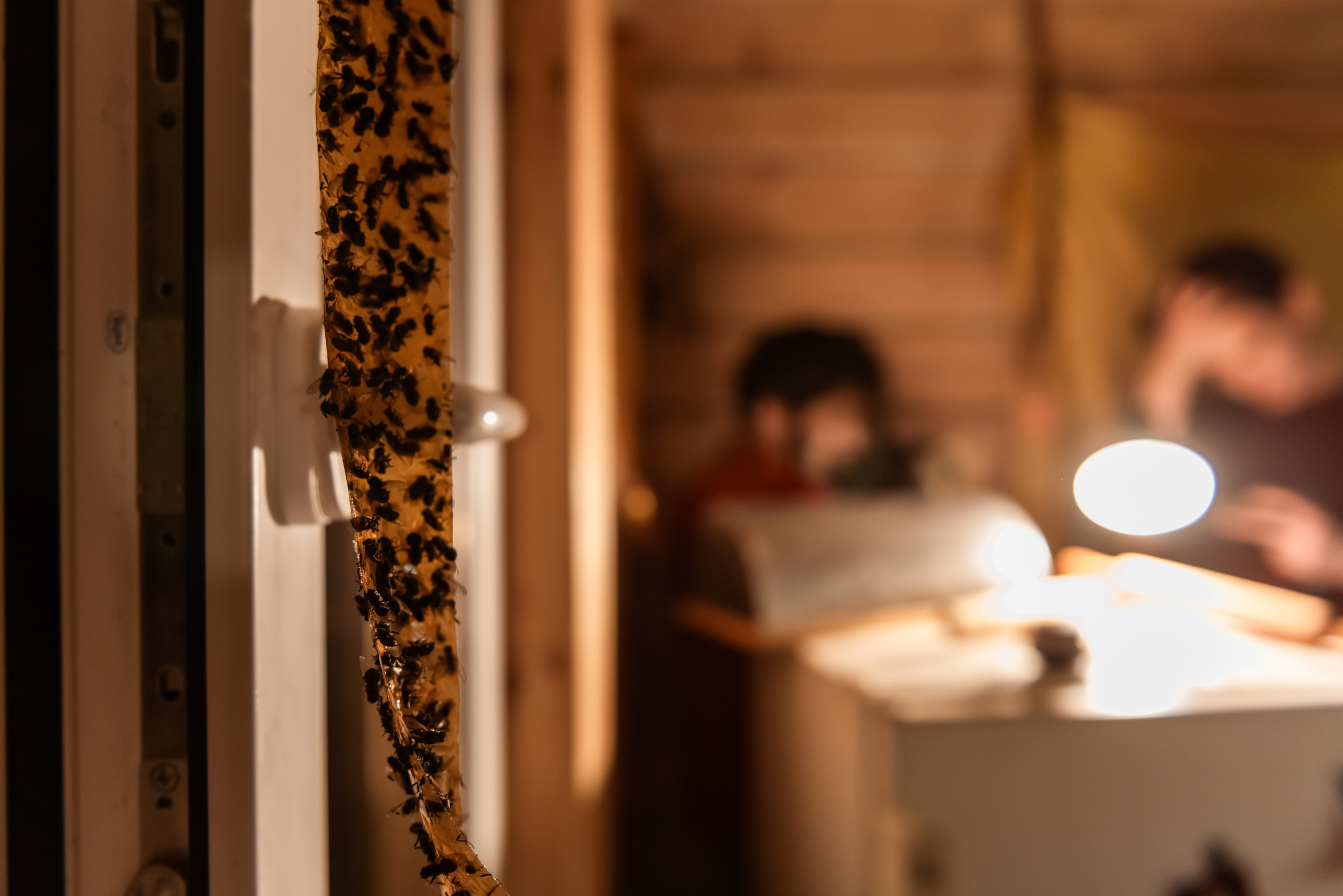 Reverence или как кино в Сибири снимали. Фотограф в Новосибирске Юлия Туманова