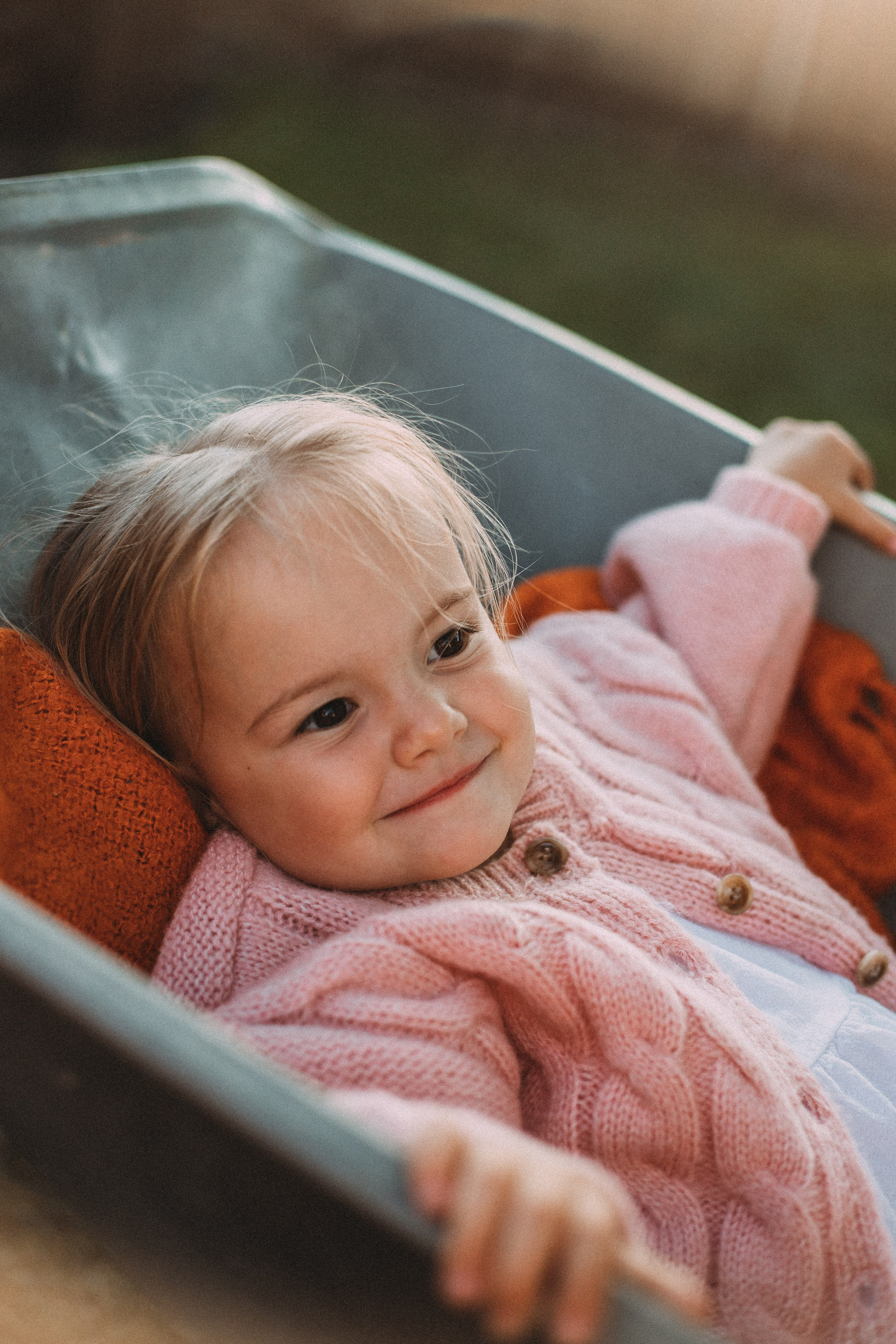 Дача. Главная