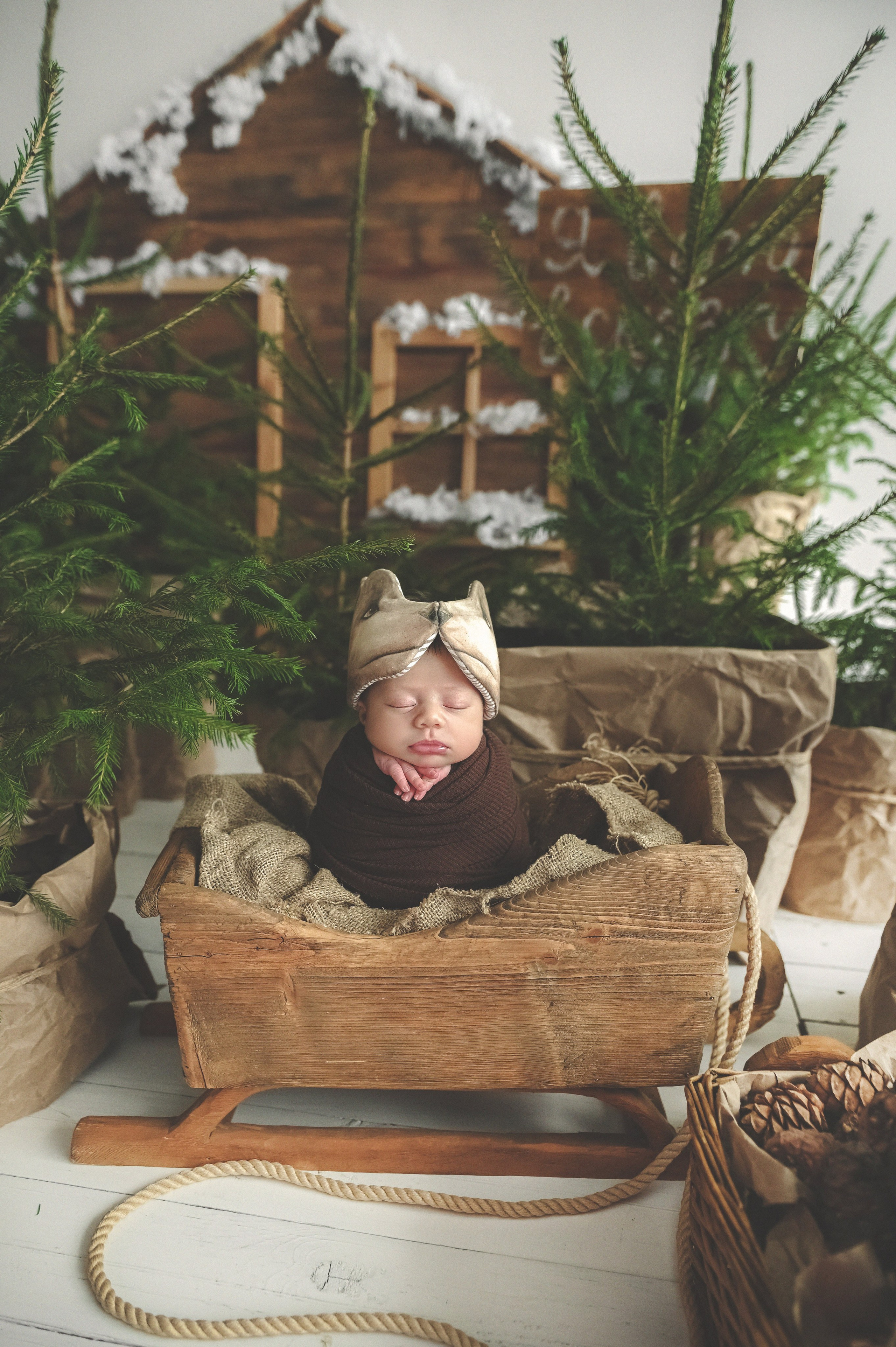 Новый год. Фотограф новорожденных и детей в Барнауле — Екатерина Шапкина
