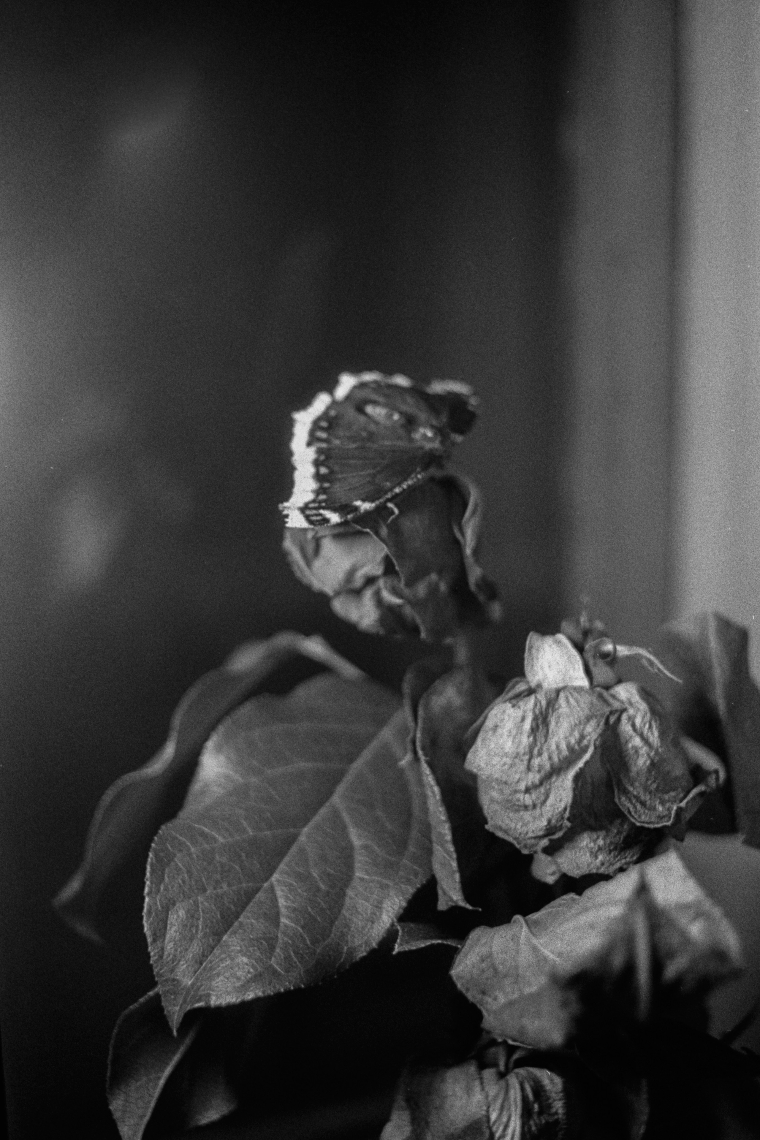 Пленочная история. Дмитрий Пропадалин, Нейрофотография